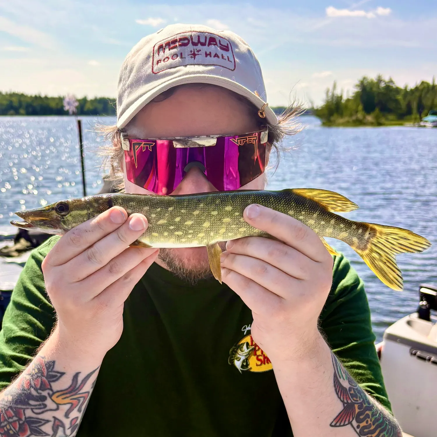 Northern pike caught on Fishbrain