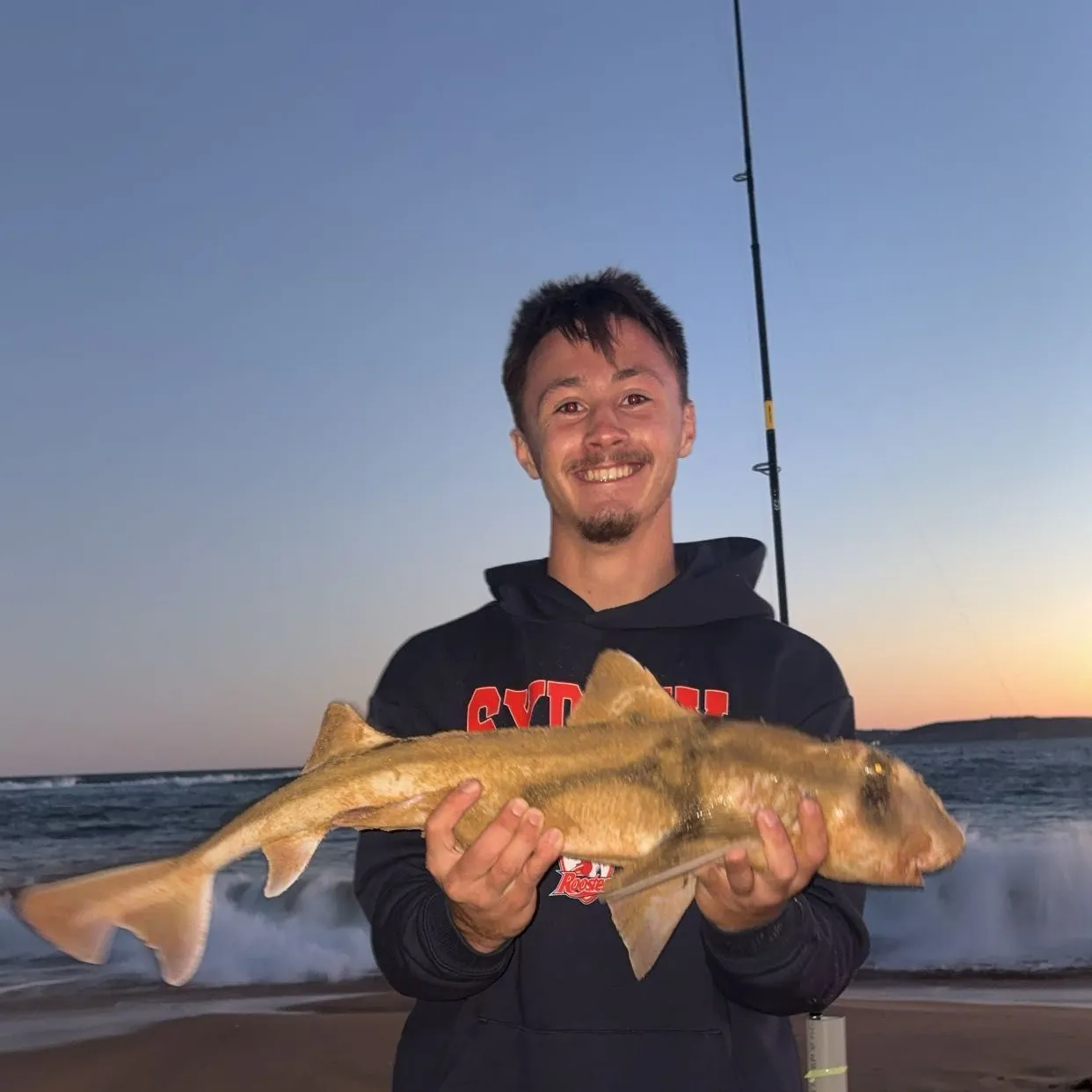 The most recent Port Jackson shark catches on Fishbrain