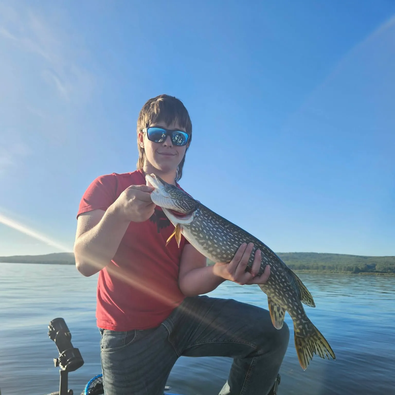 Northern pike caught on Fishbrain