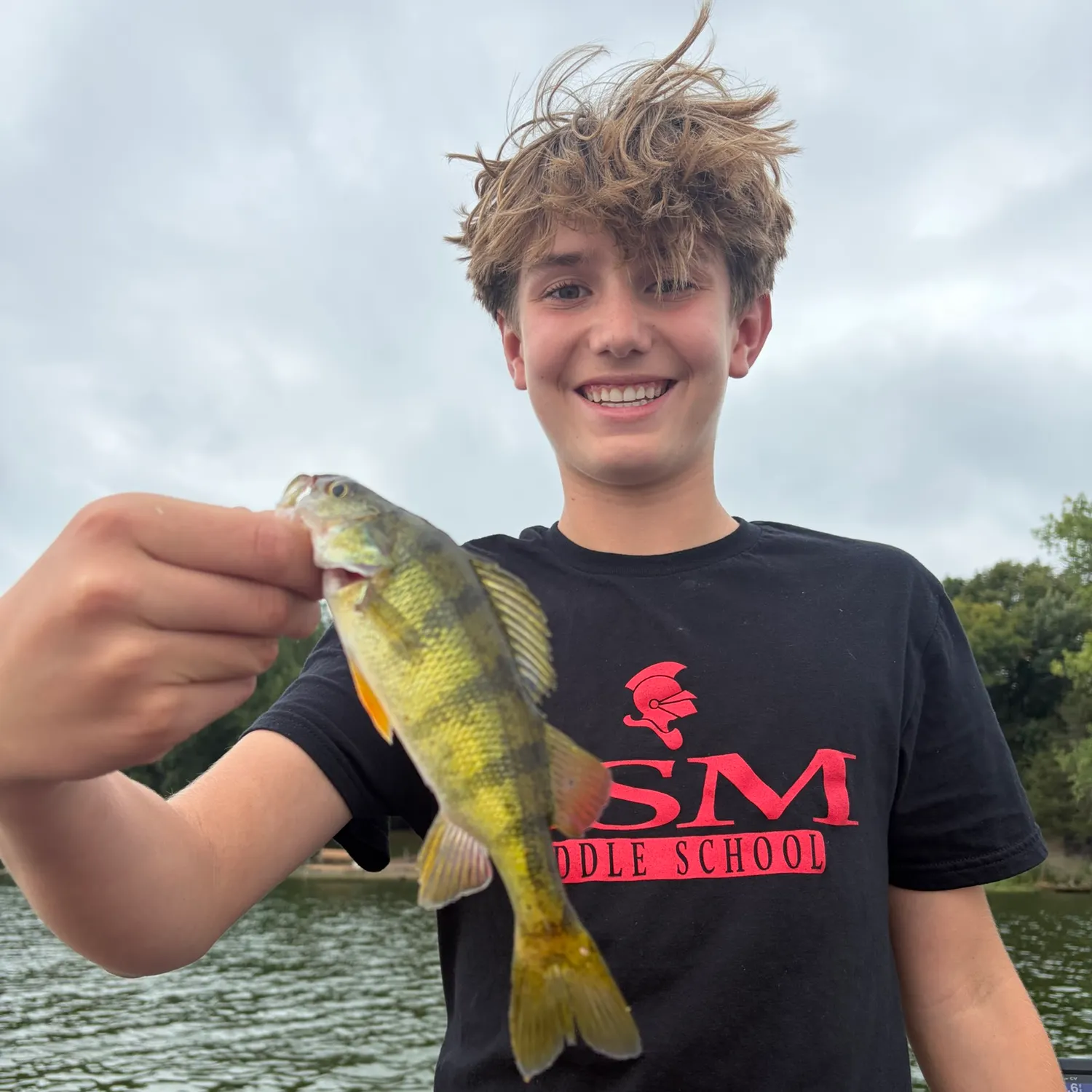 Yellow perch caught on Fishbrain