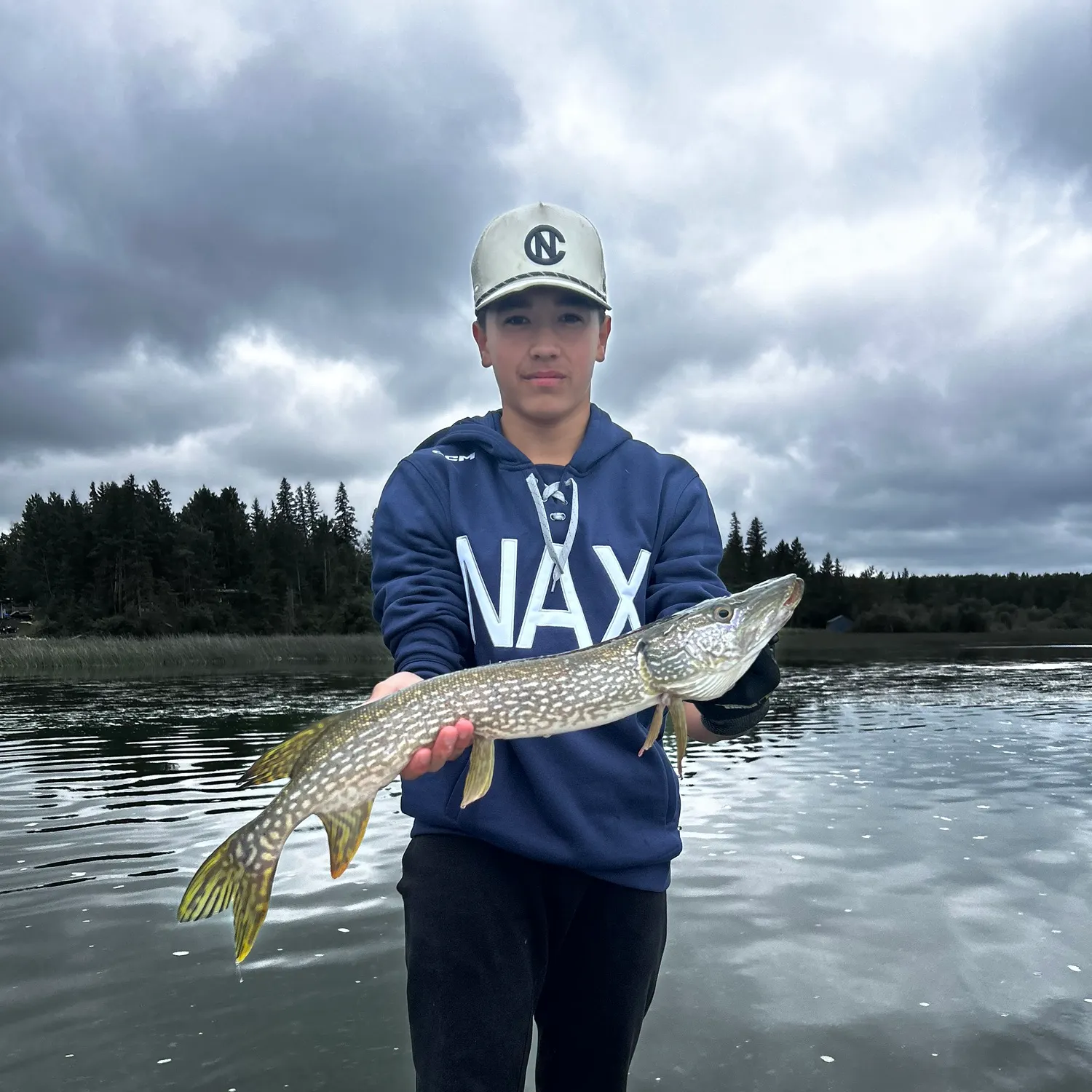 Northern pike caught on Fishbrain