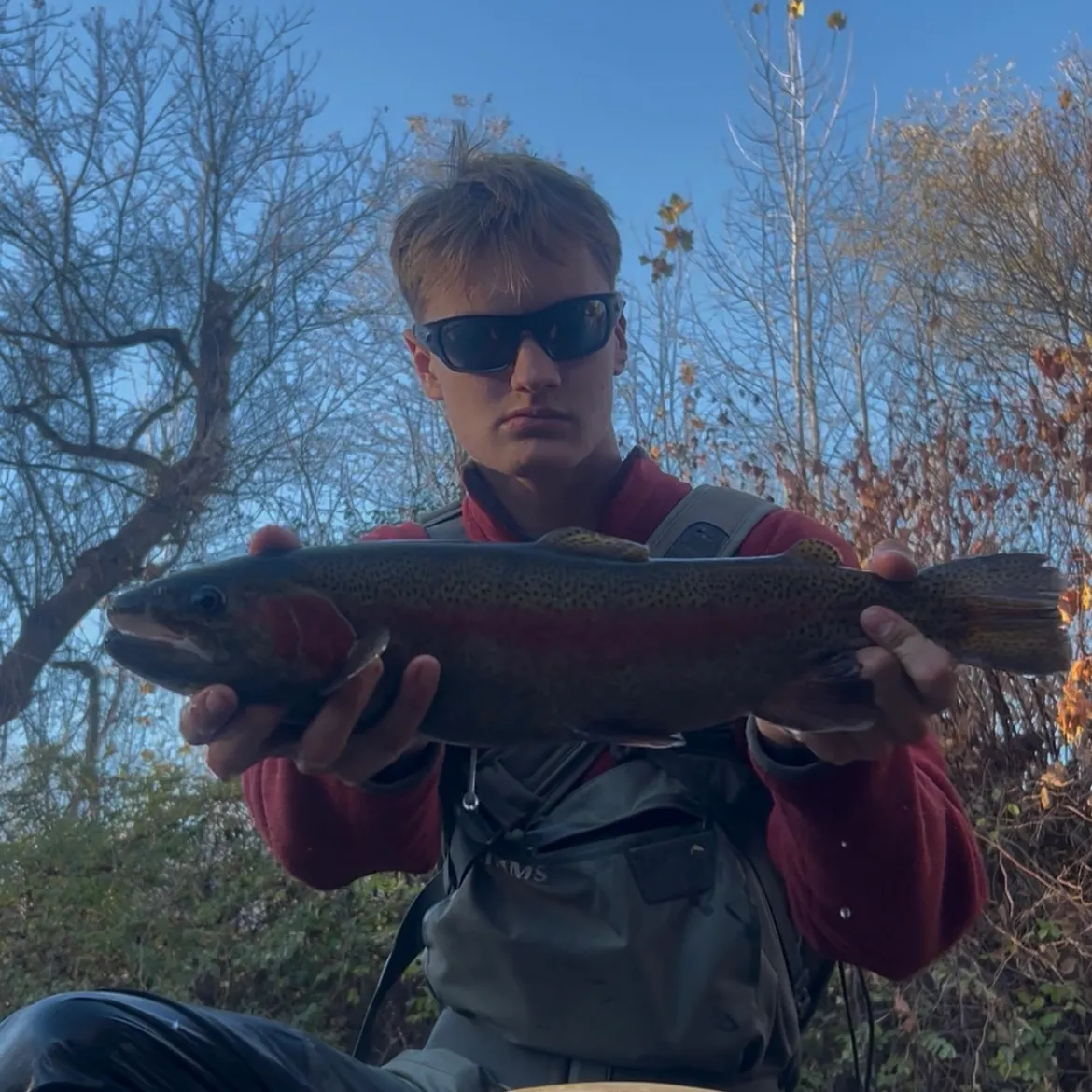Rainbow trout caught on Fishbrain