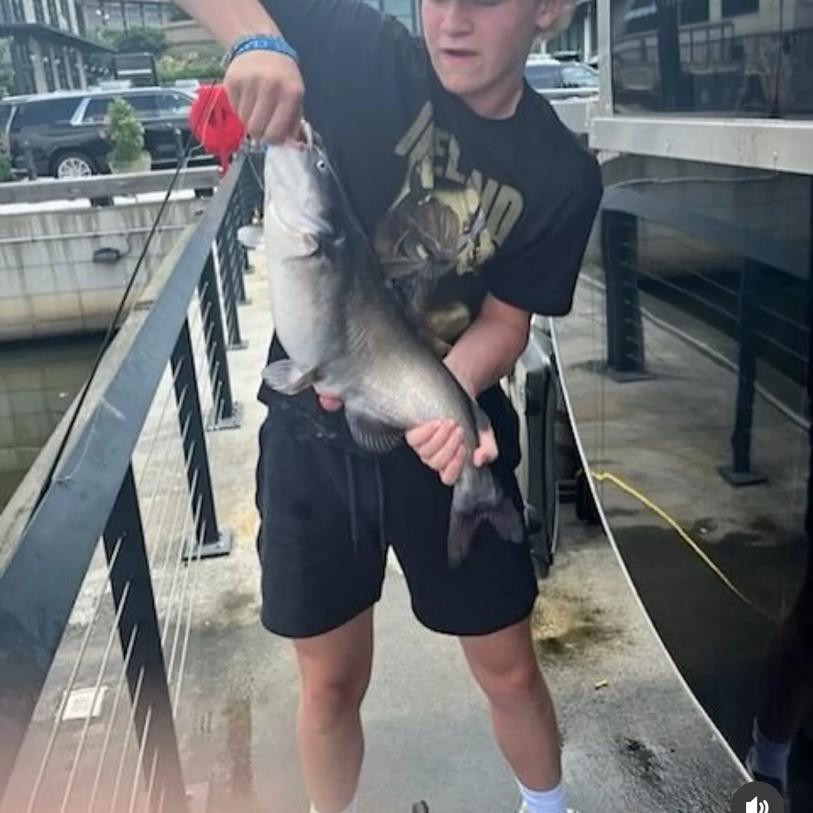 Channel catfish caught on Fishbrain