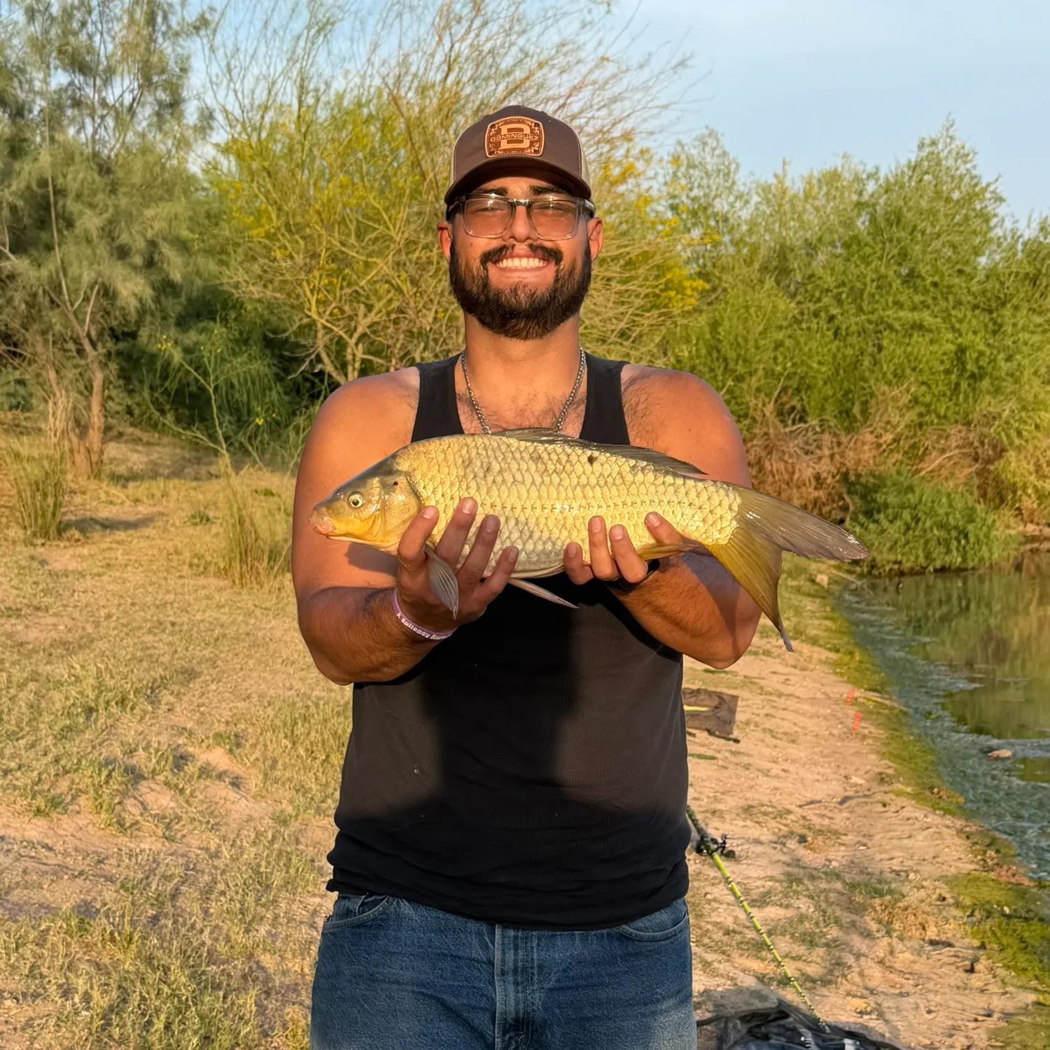 The most recent Ghost carp catches on Fishbrain