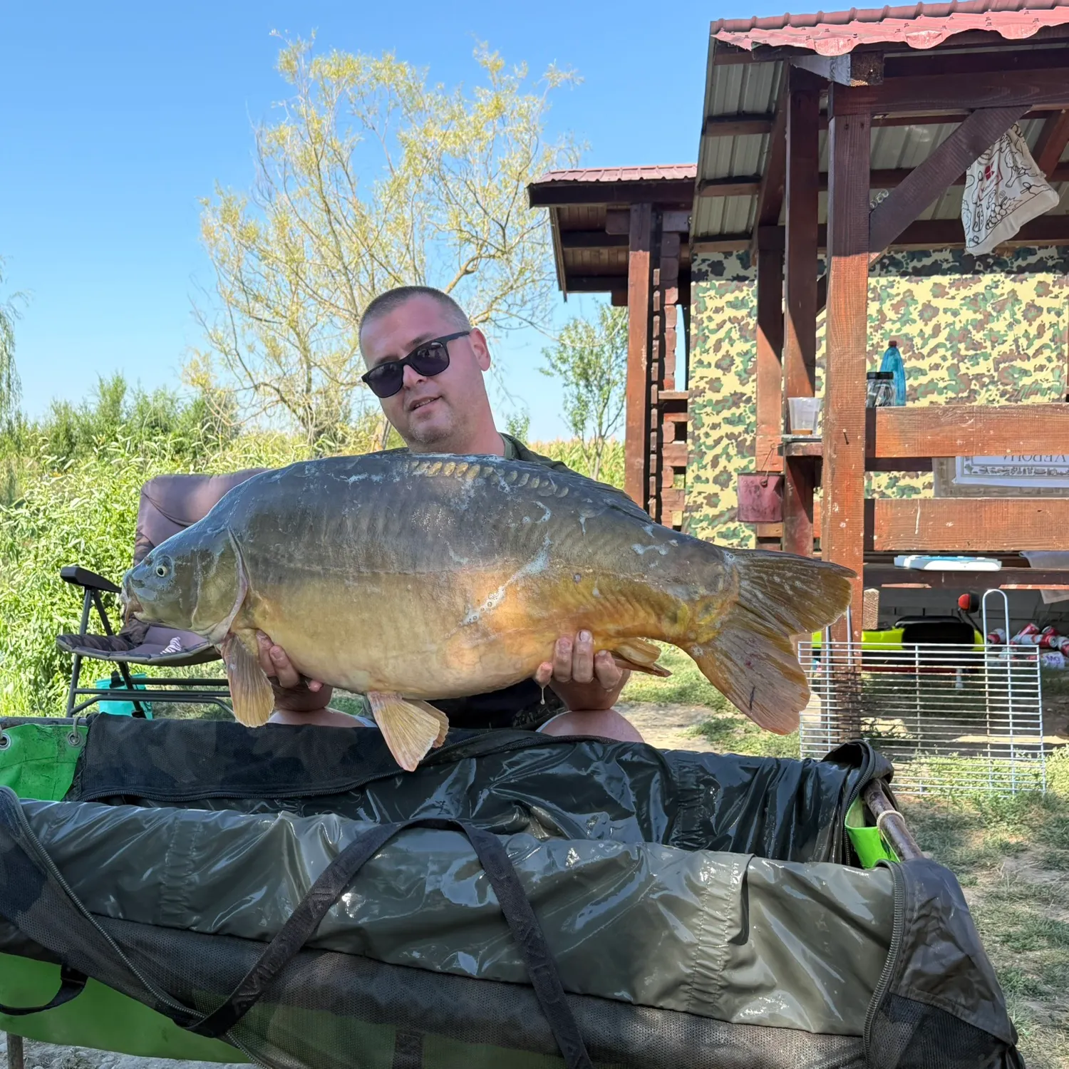 Leather carp caught on Fishbrain