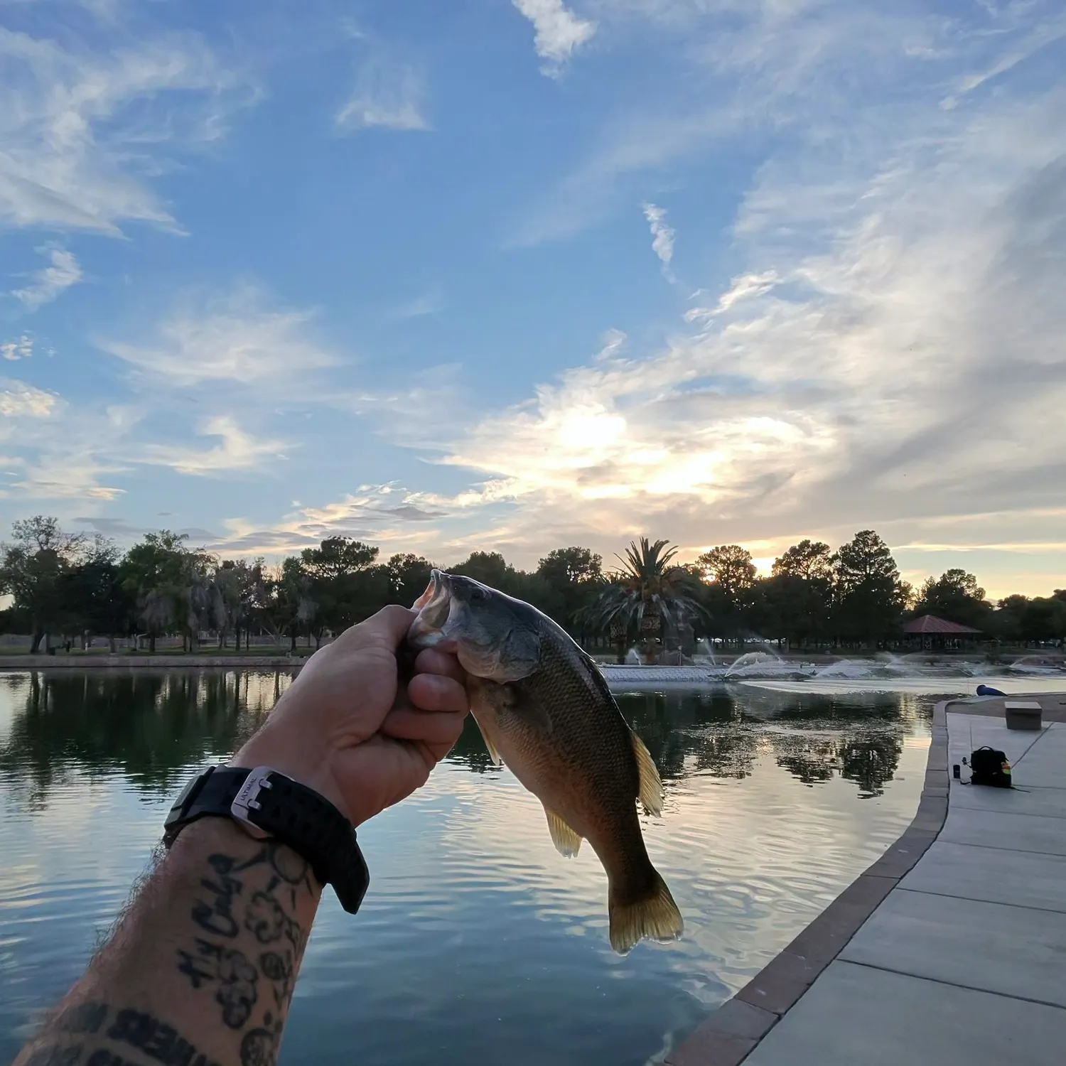 catch