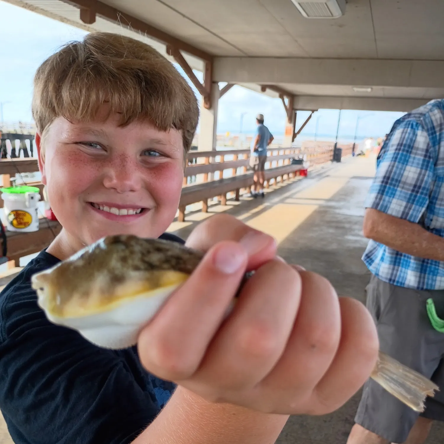 The most recent Spotted green pufferfish catches on Fishbrain