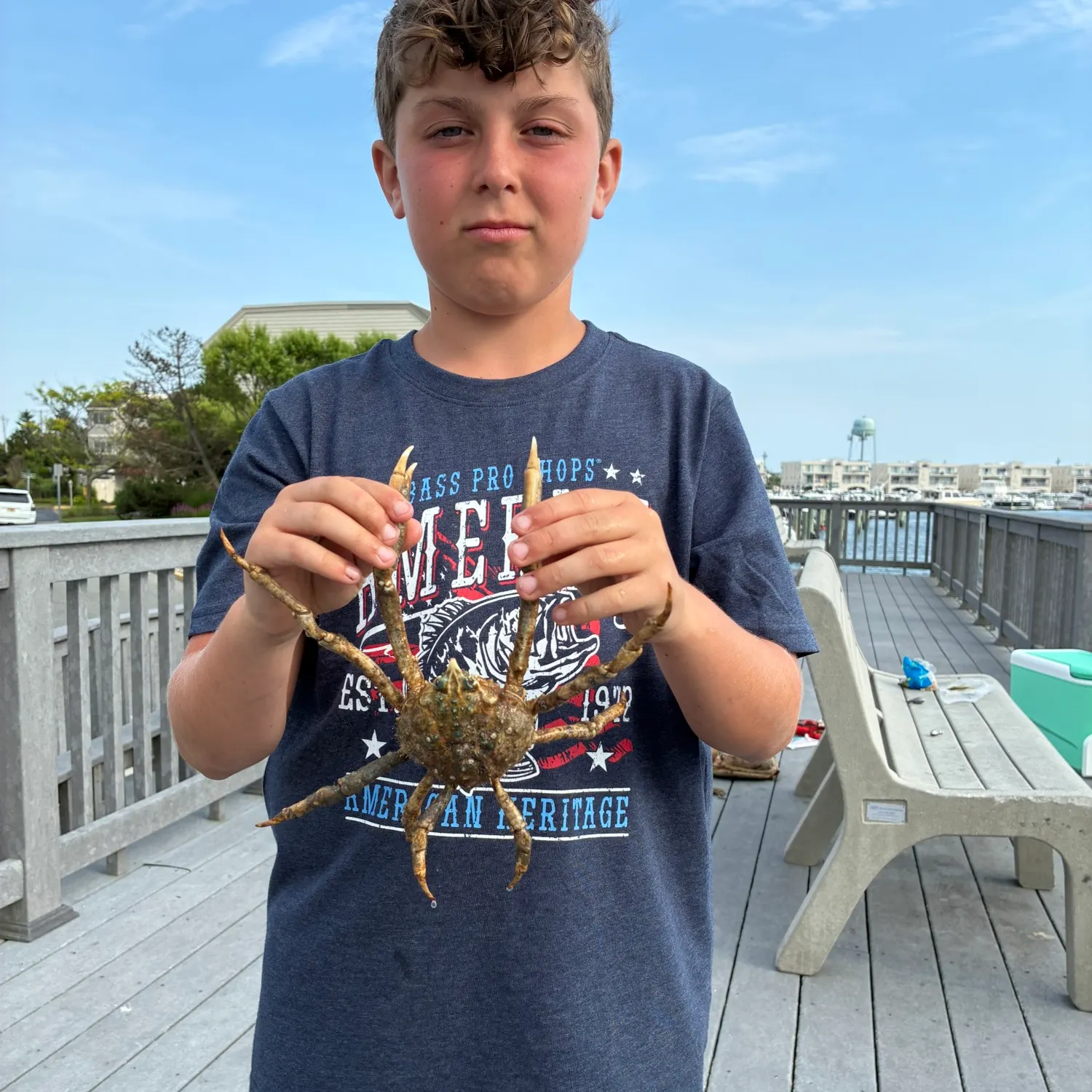 The most recent European spider crab catches on Fishbrain