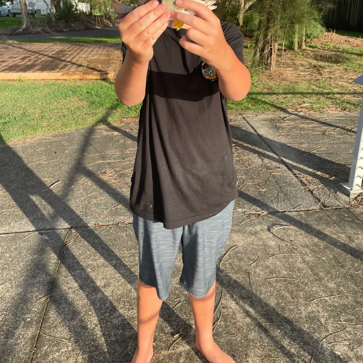 The most recent Moses perch catches on Fishbrain