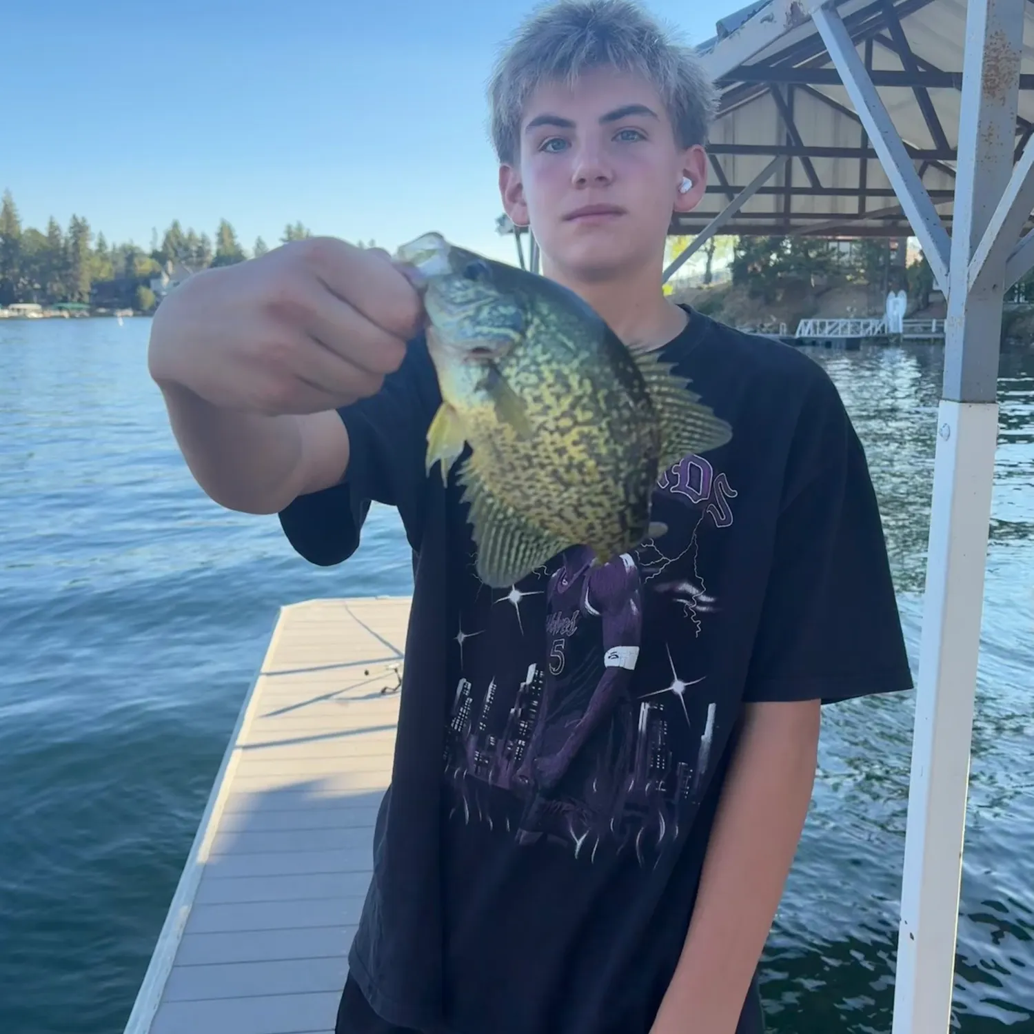 Black crappie caught on Fishbrain