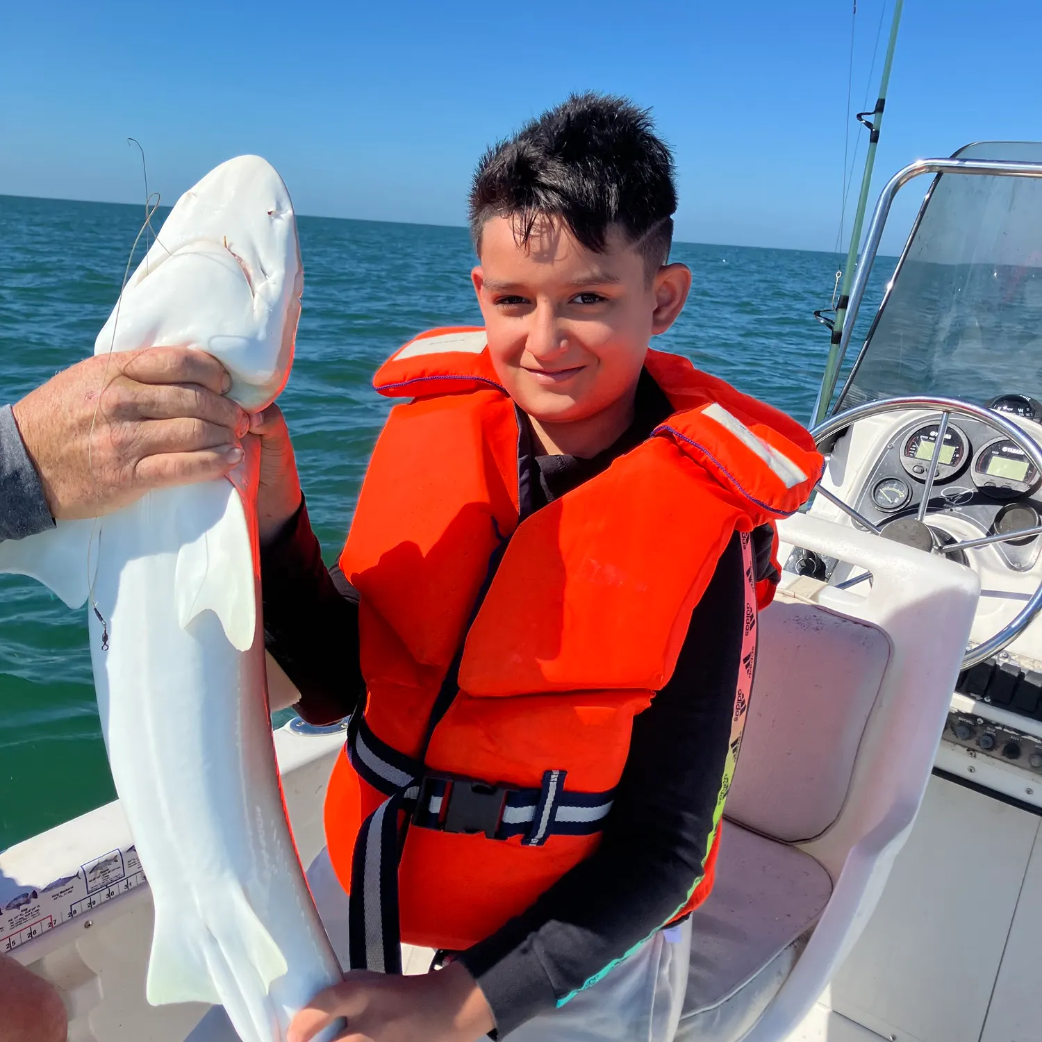 The most recent Blacknose shark catches on Fishbrain