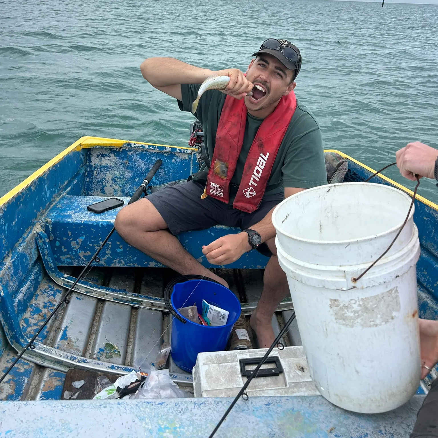 The most recent Blue weed whiting catches on Fishbrain