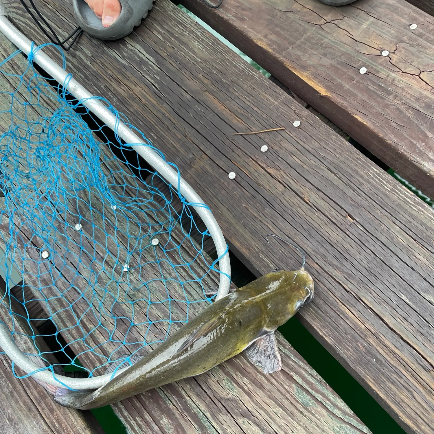catch