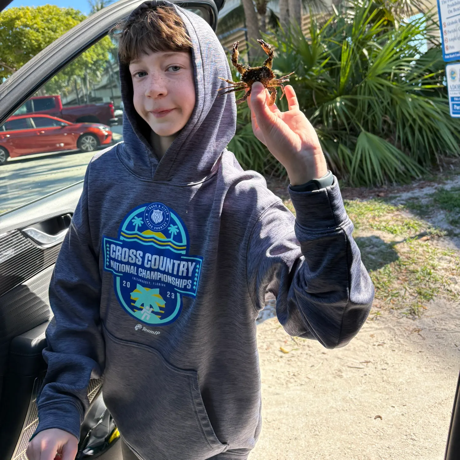 The most recent Atlantic rock crab catches on Fishbrain