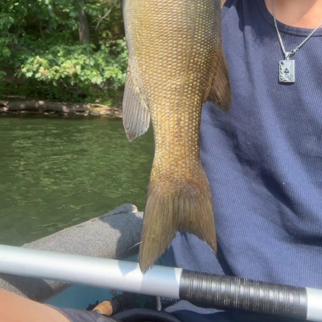 Fish caught on Fishbrain