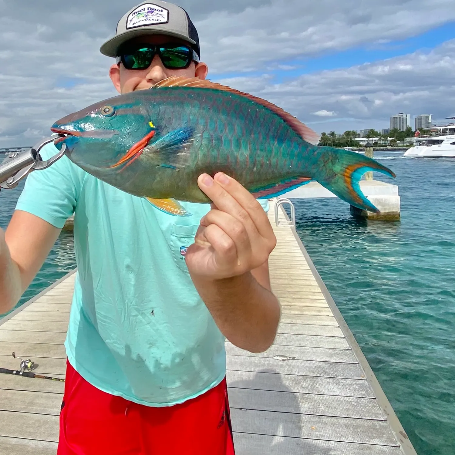 The most popular recent Stoplight parrotfish catch on Fishbrain