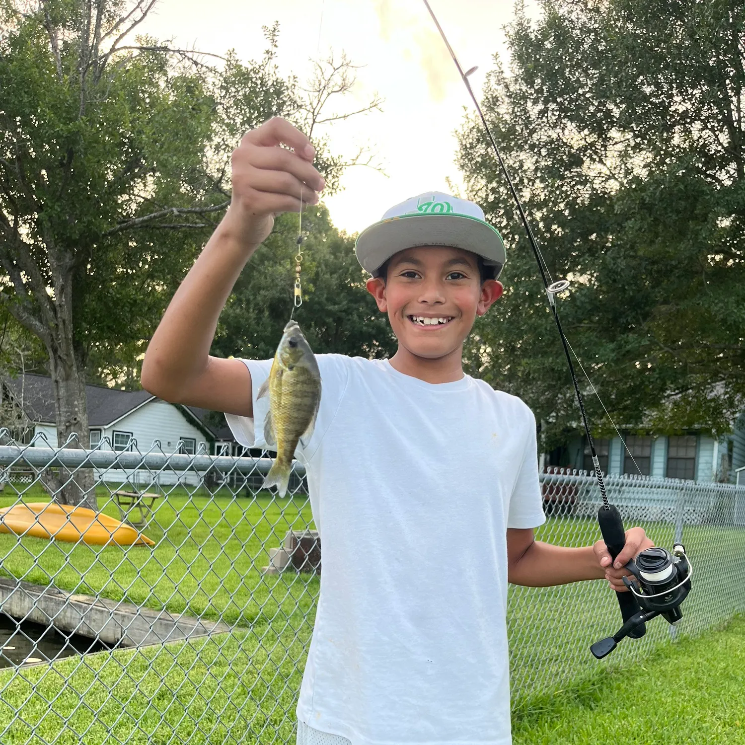 Bluegill caught on Fishbrain