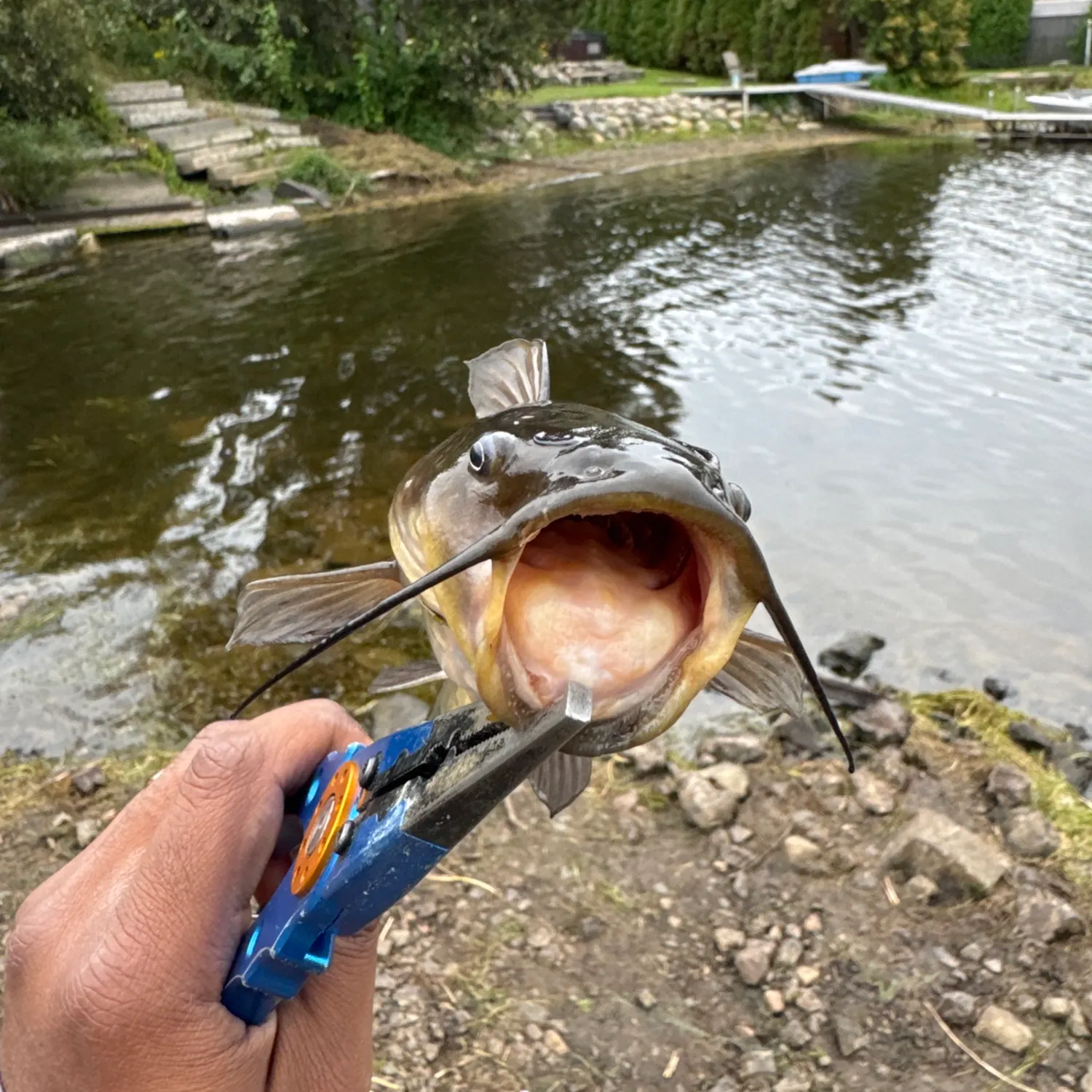 catch