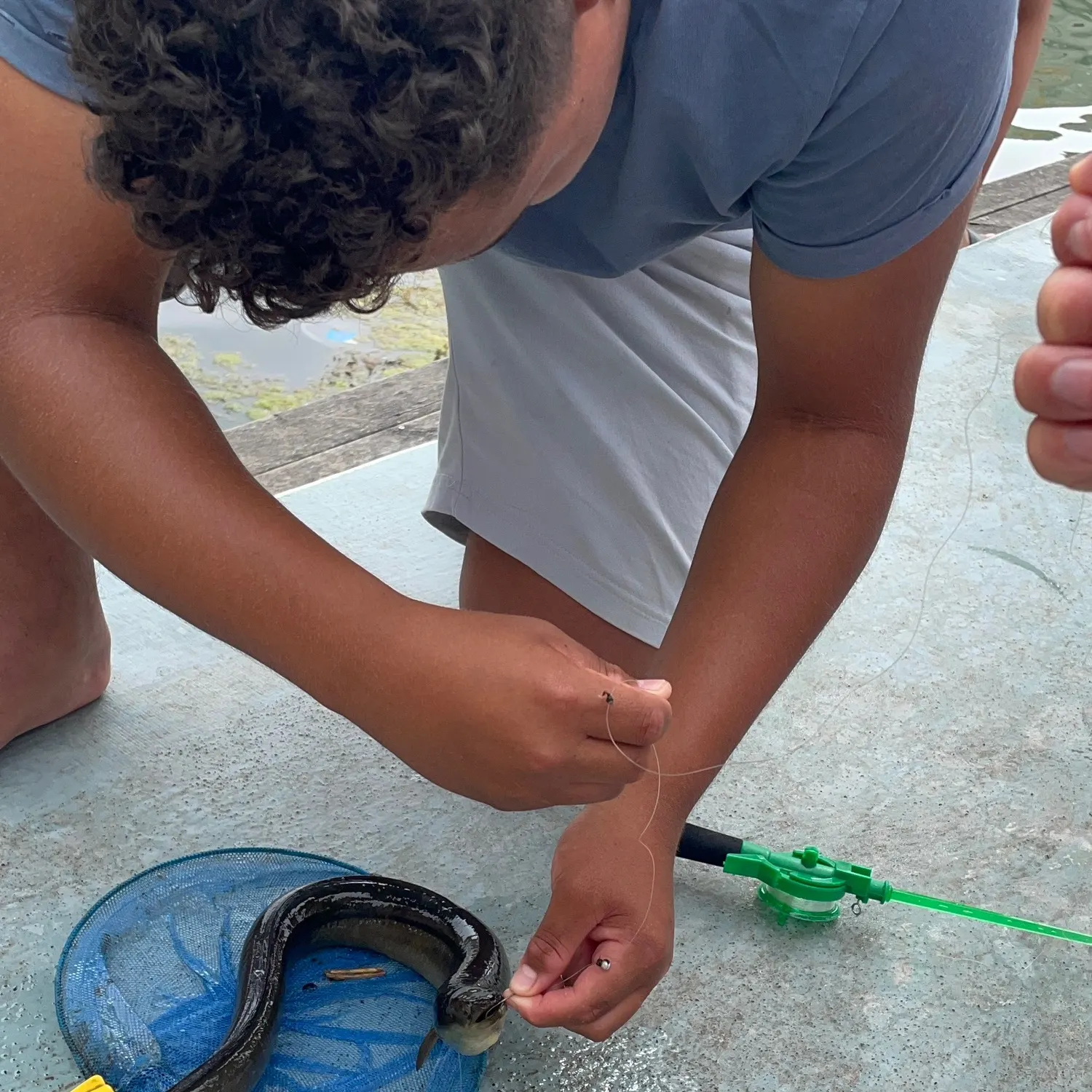 The most recent European eel catches on Fishbrain