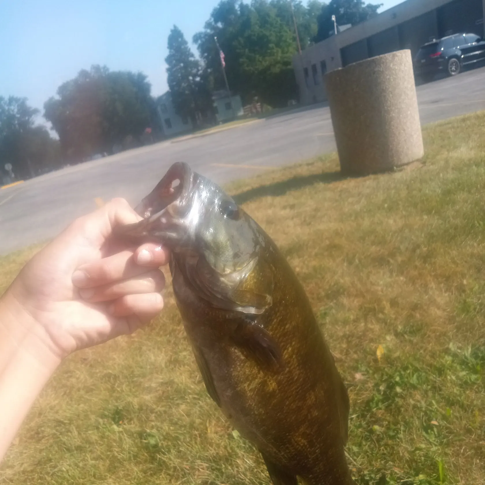 catch
