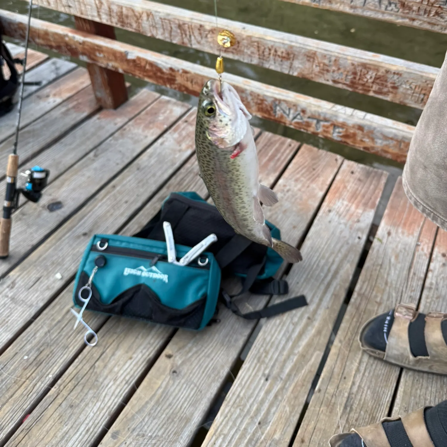 recently logged catches