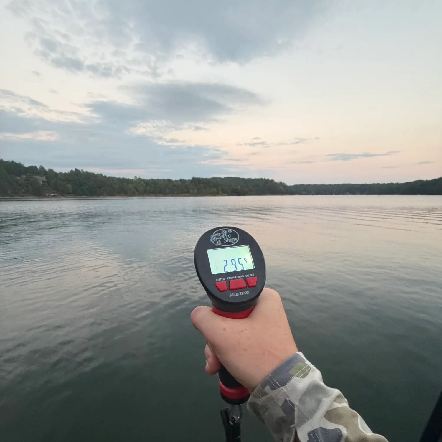 Channel catfish caught on Fishbrain