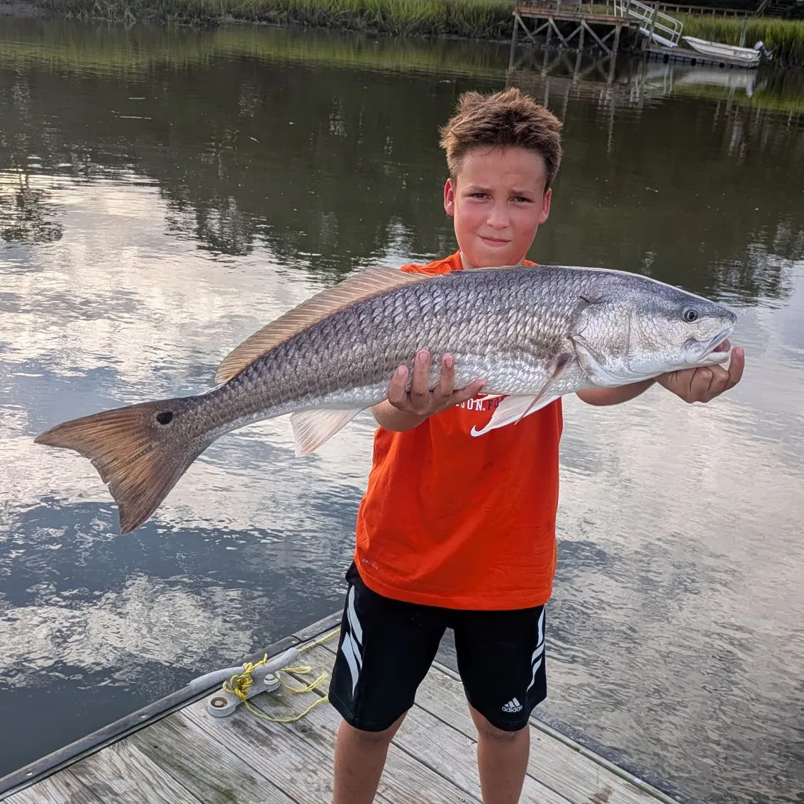River carpsucker caught on Fishbrain