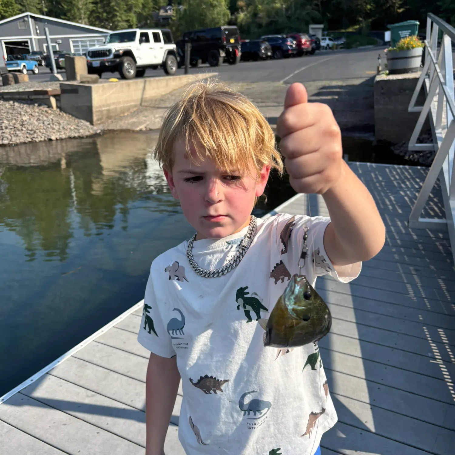 Bluegill caught on Fishbrain