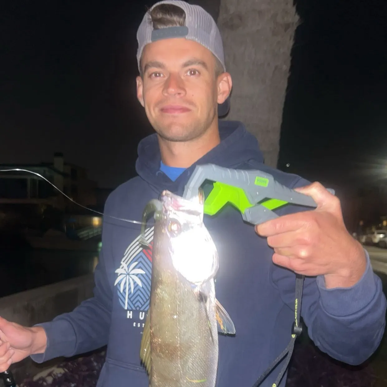 The most recent White seabass catches on Fishbrain