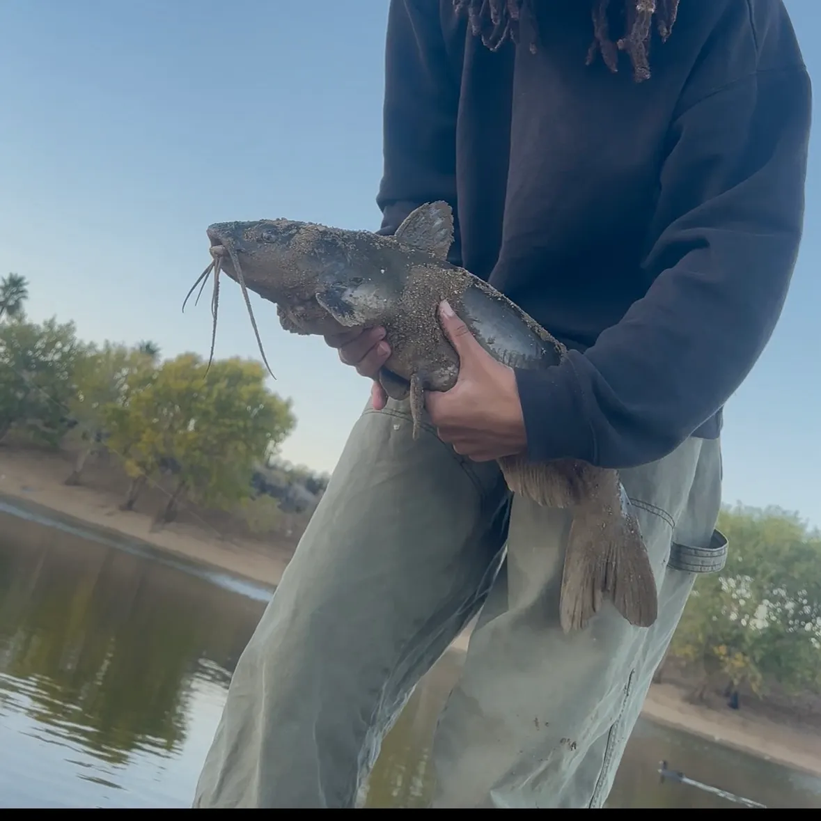 Channel catfish caught on Fishbrain