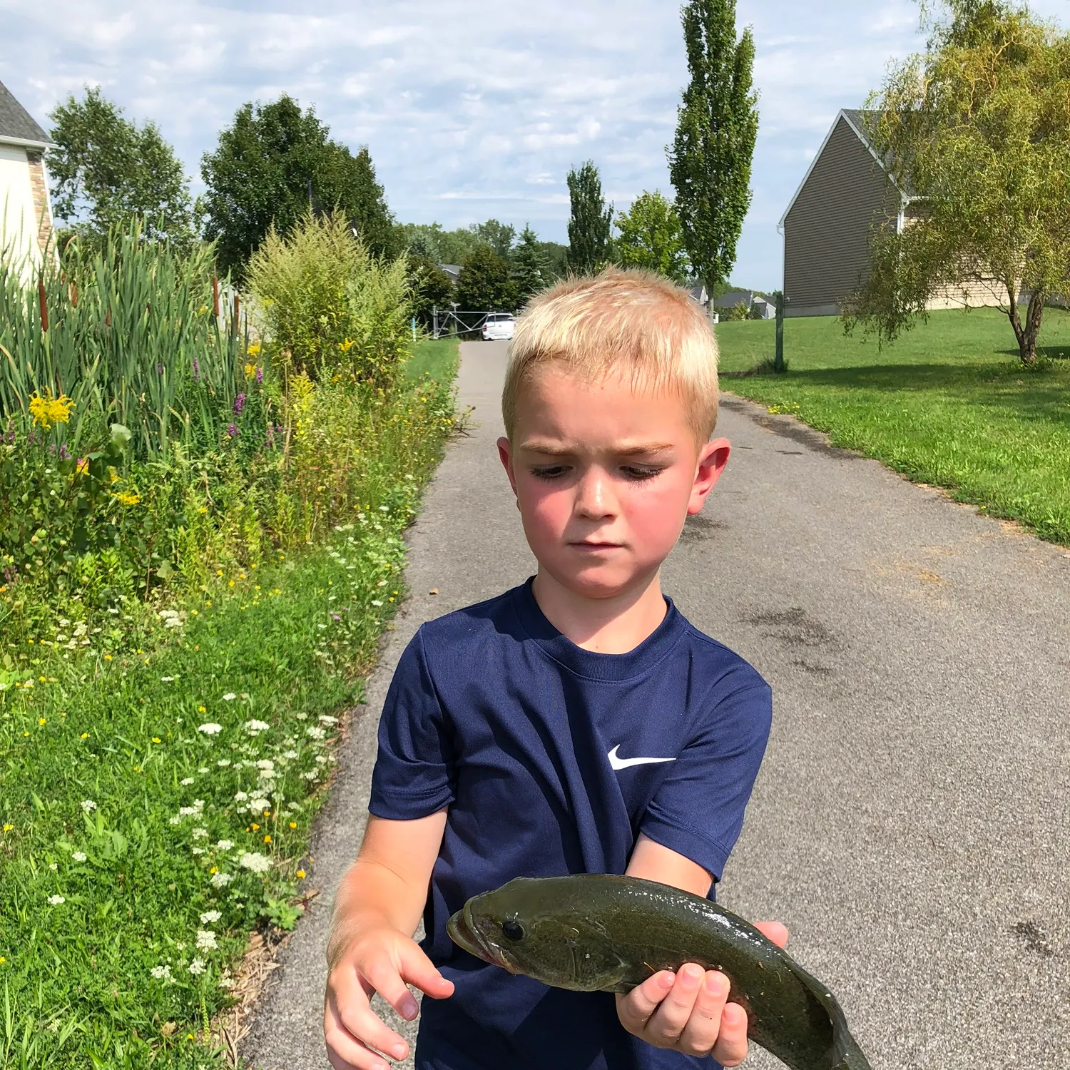Fish caught on Fishbrain