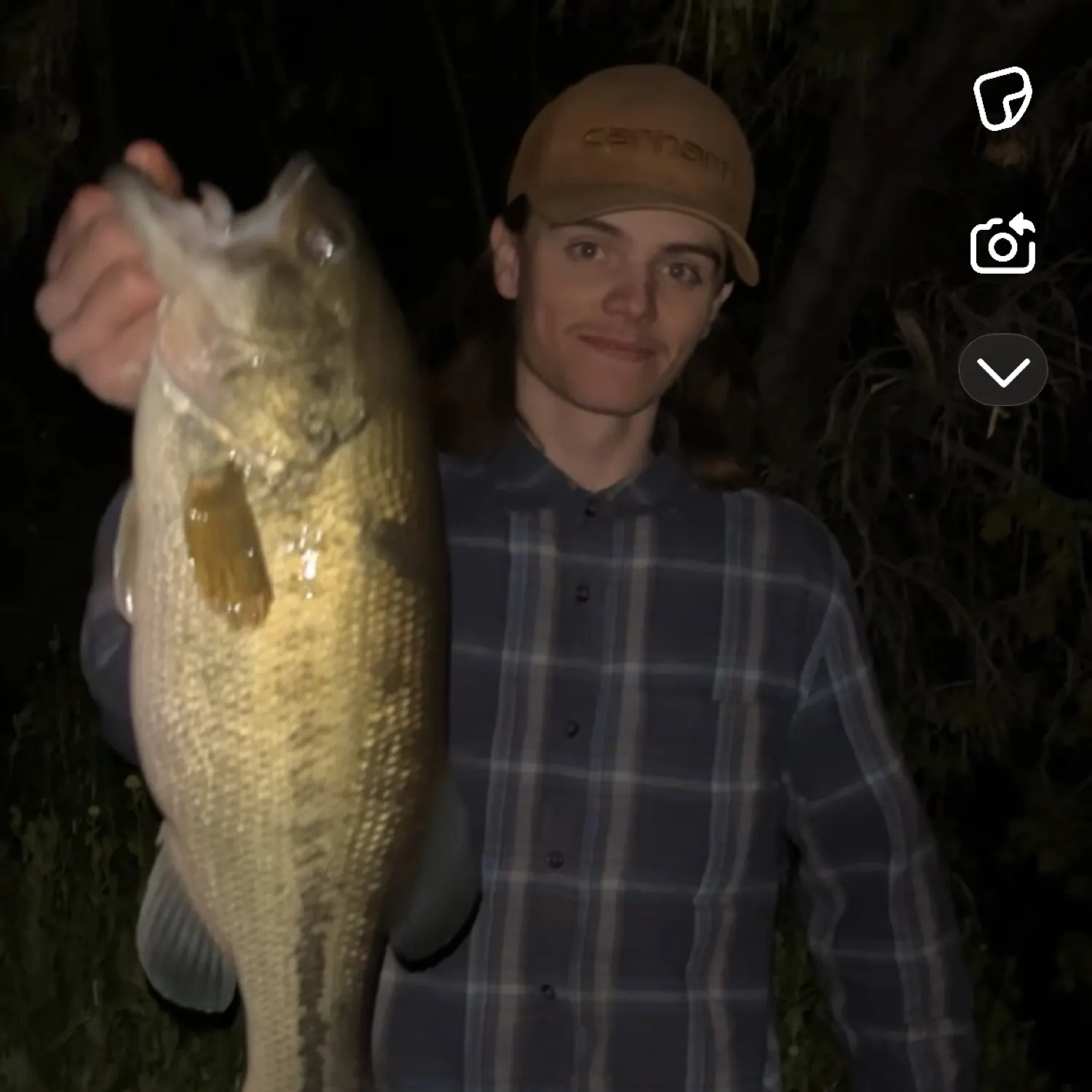 recently logged catches