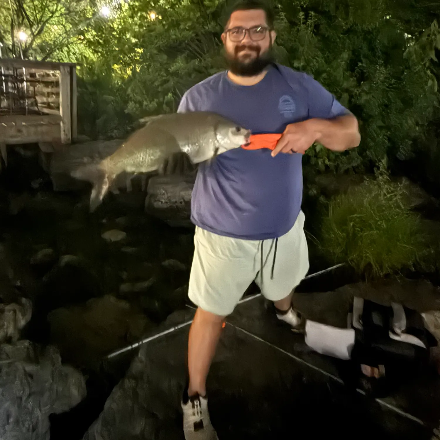 The most recent Bigmouth buffalo catches on Fishbrain