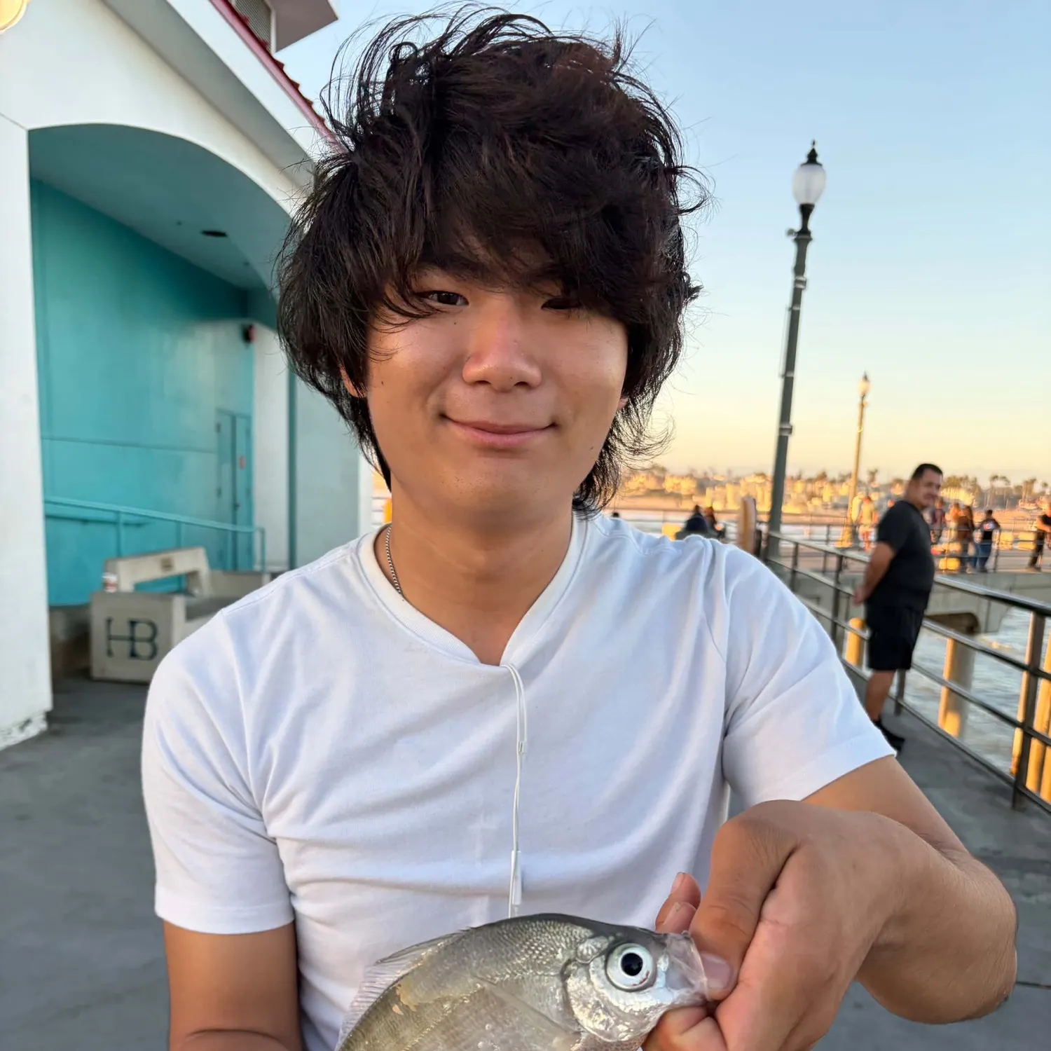 The most recent Pile perch catches on Fishbrain