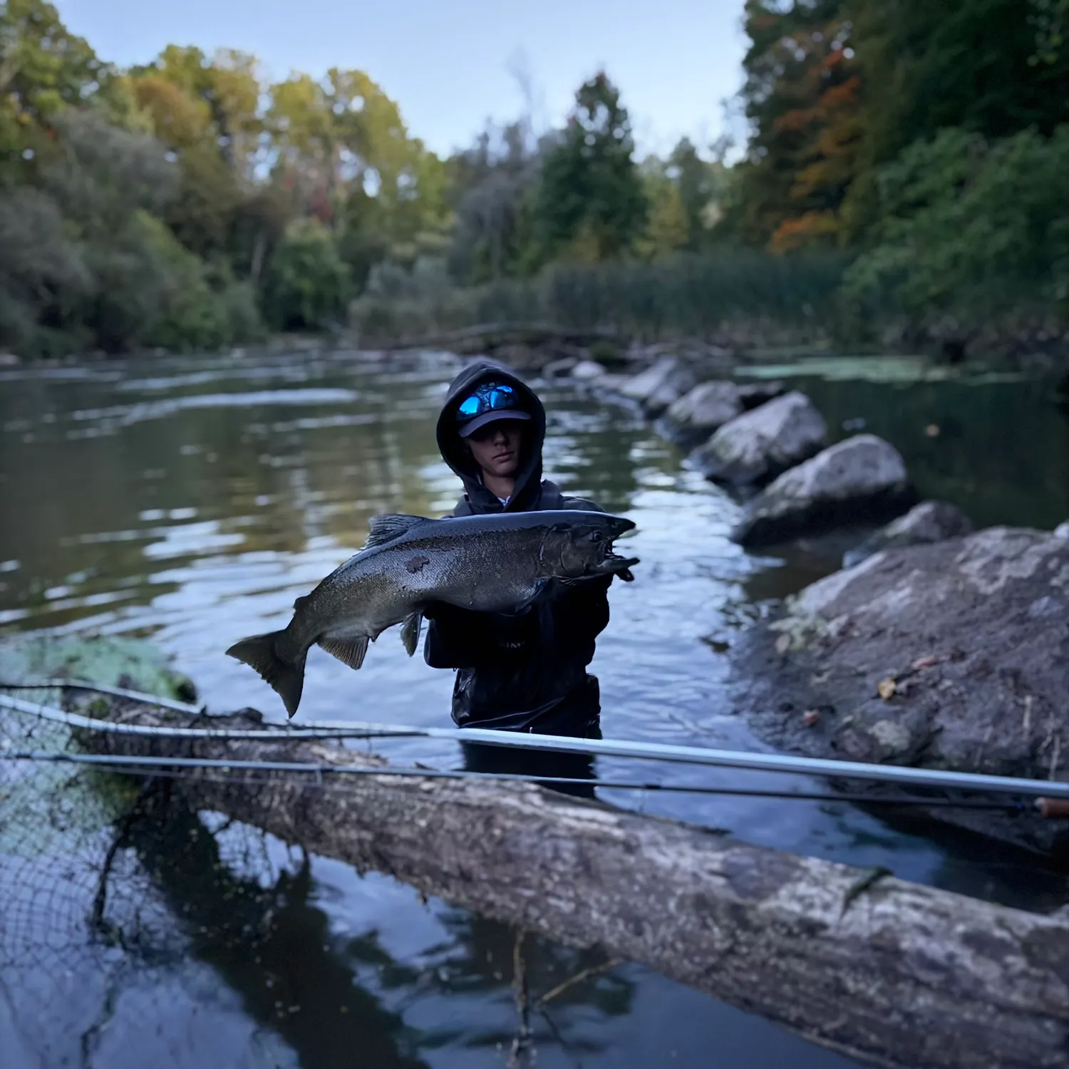 Chinook salmon caught on Fishbrain