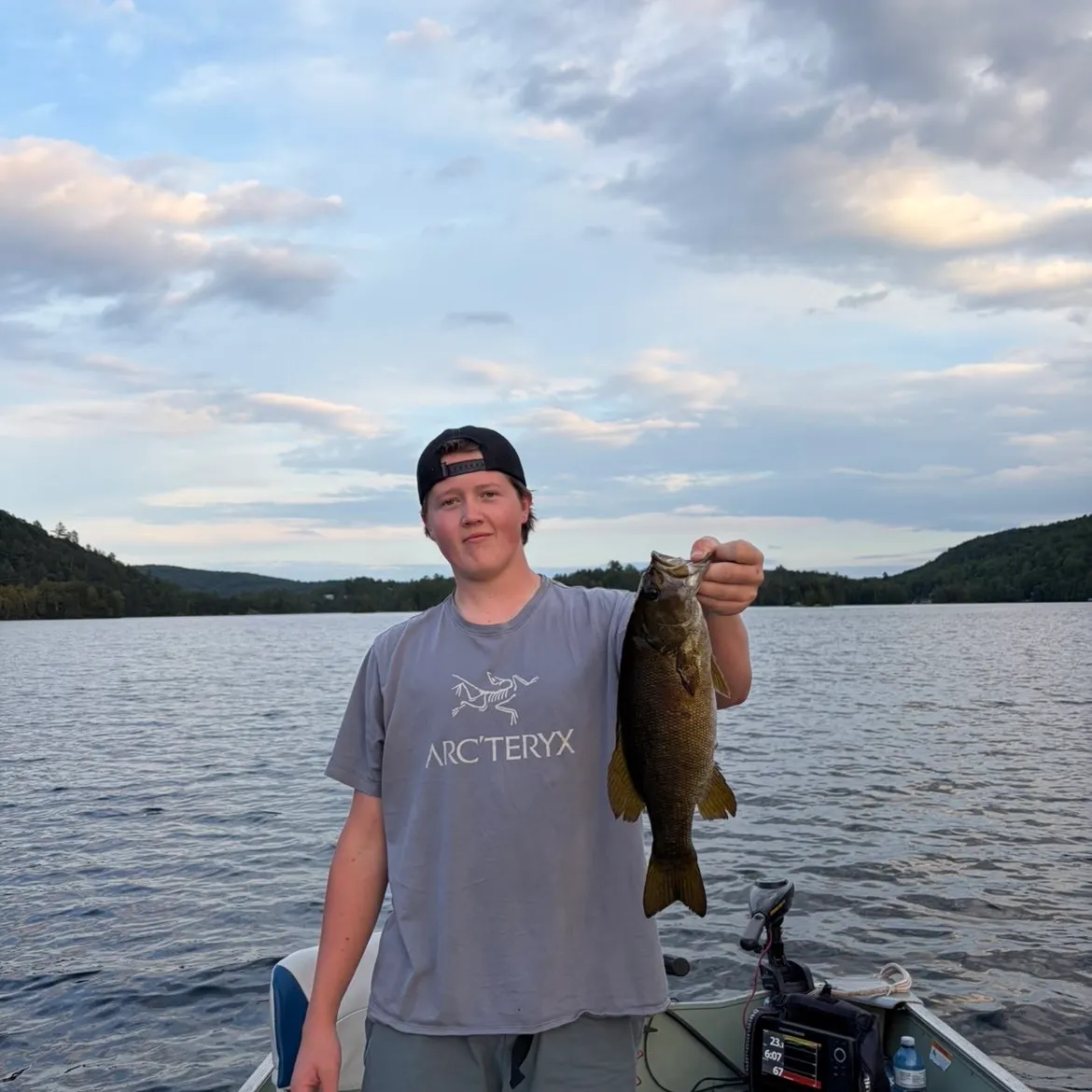 Smallmouth bass caught on Fishbrain