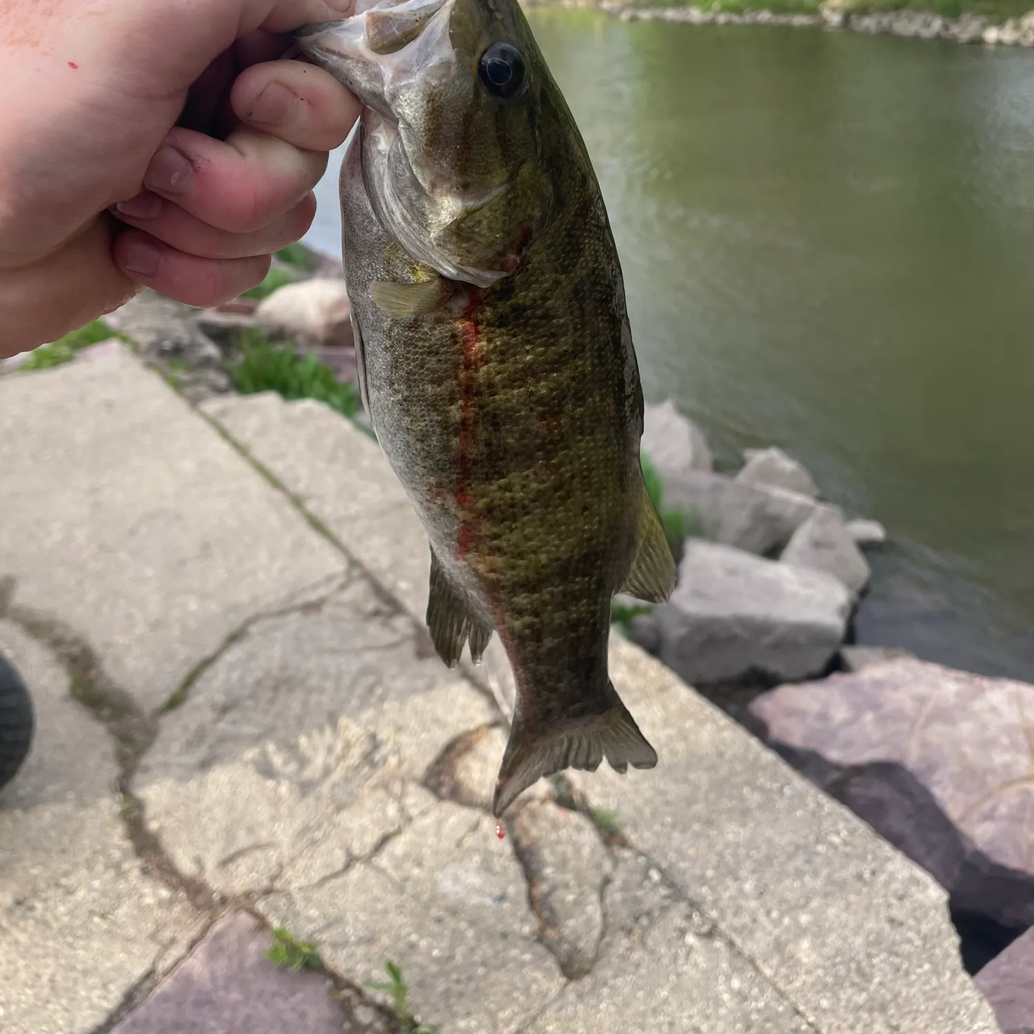 Fishing in Sioux Falls, SD (United States) ️️️️ Find Spots, Species & Tips