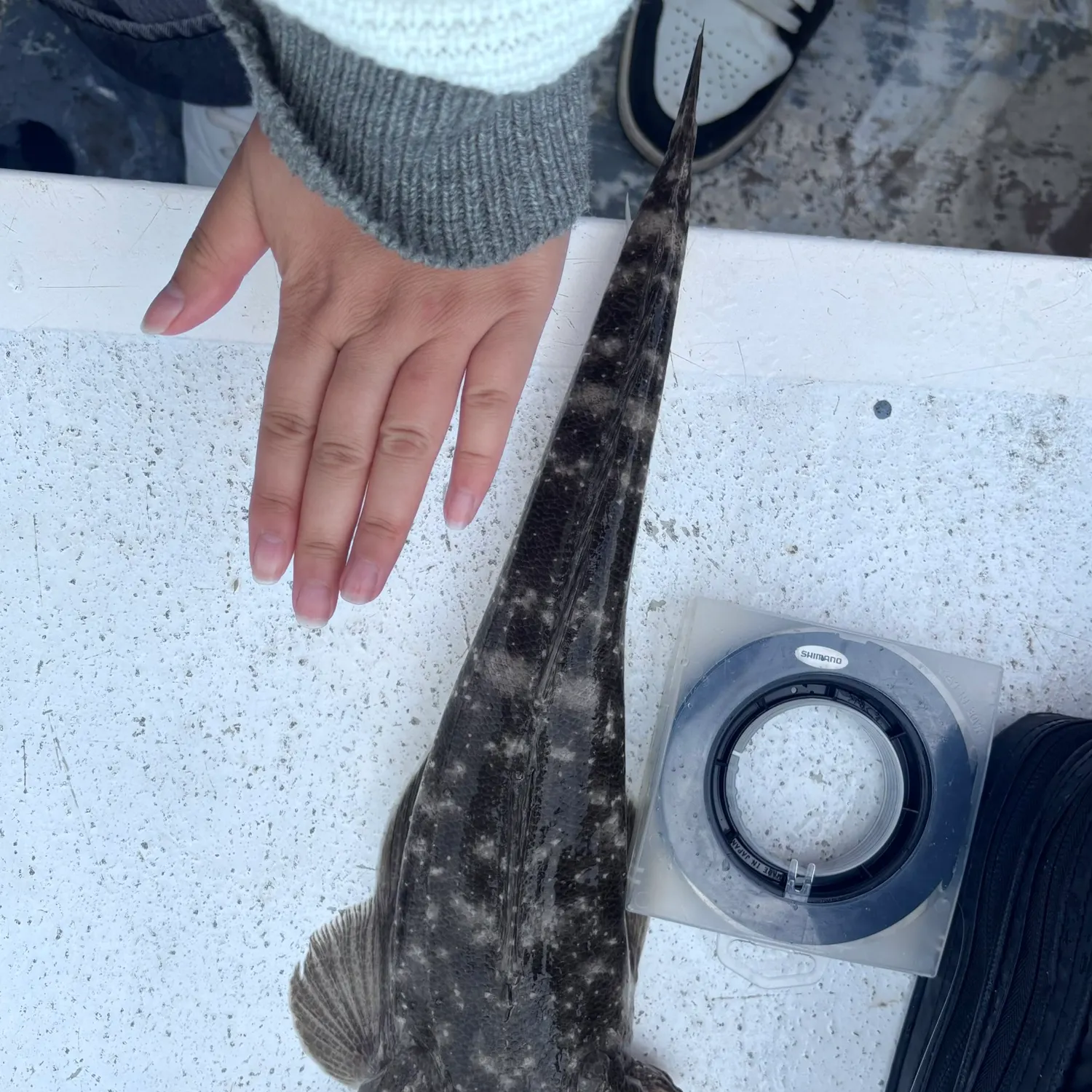 catch