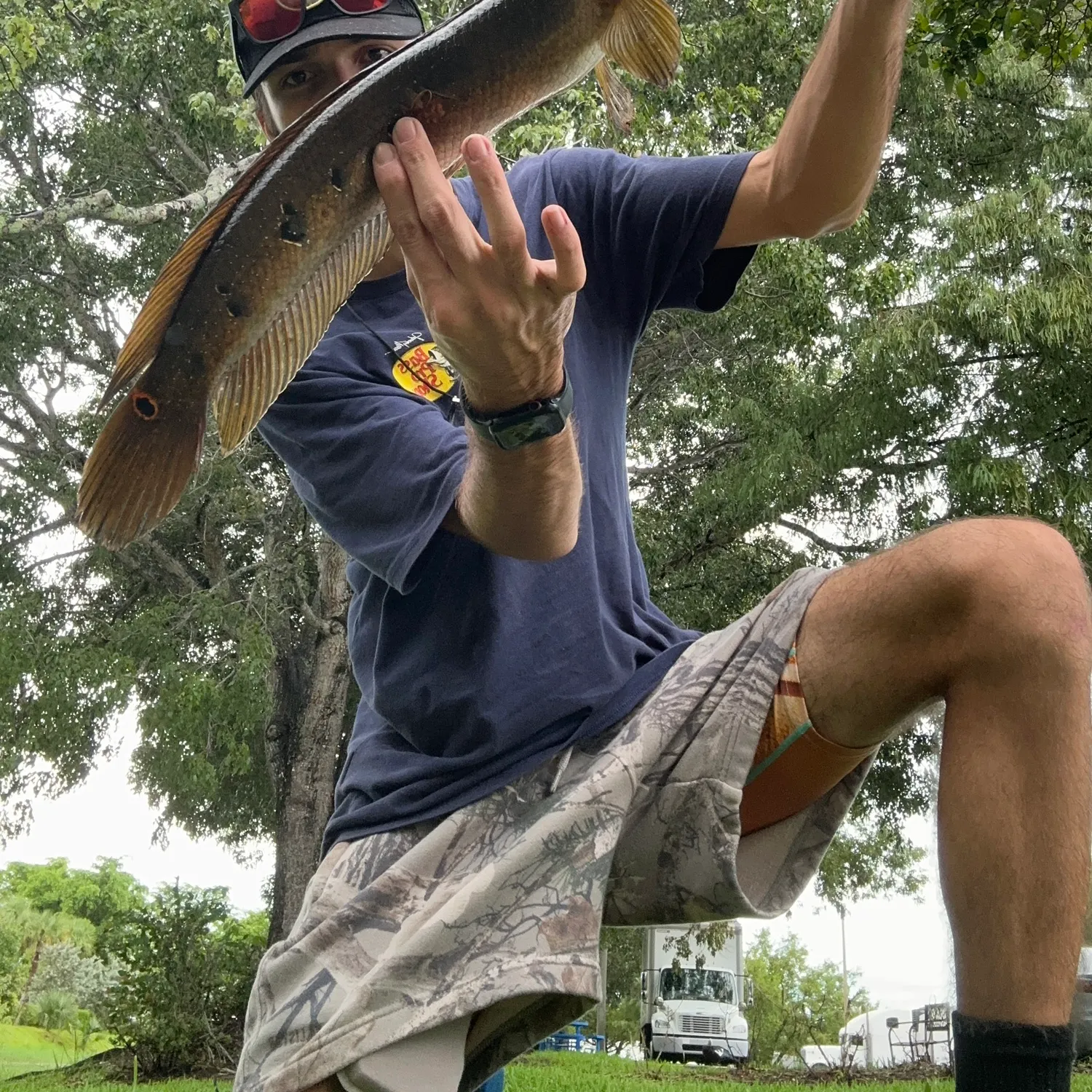Bullseye snakehead caught on Fishbrain