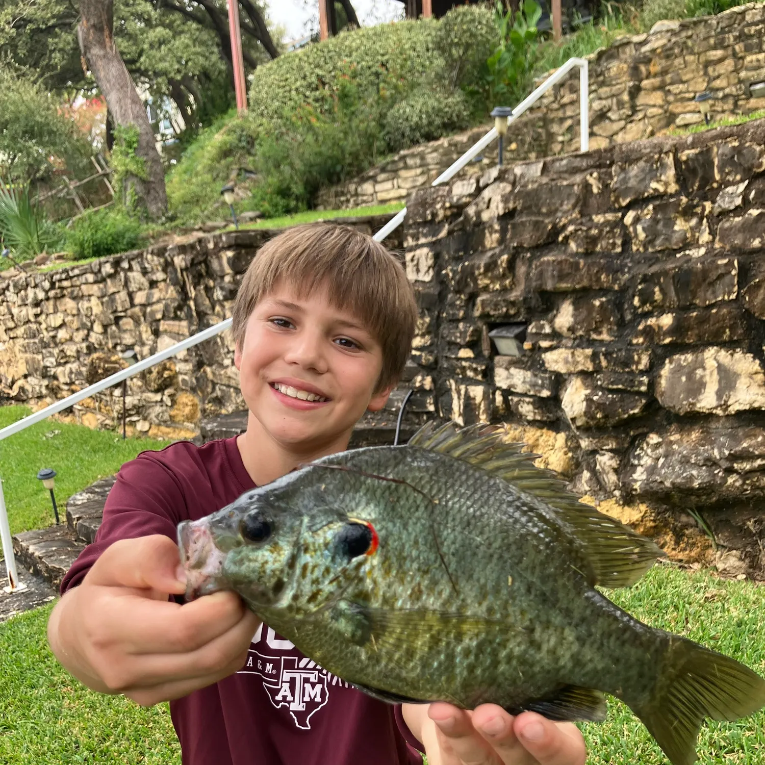Redear sunfish caught on Fishbrain