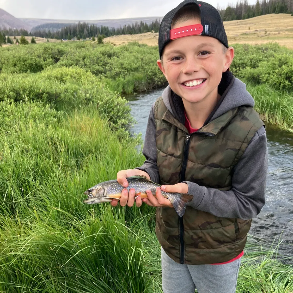 The most recent Brook trout catches on Fishbrain