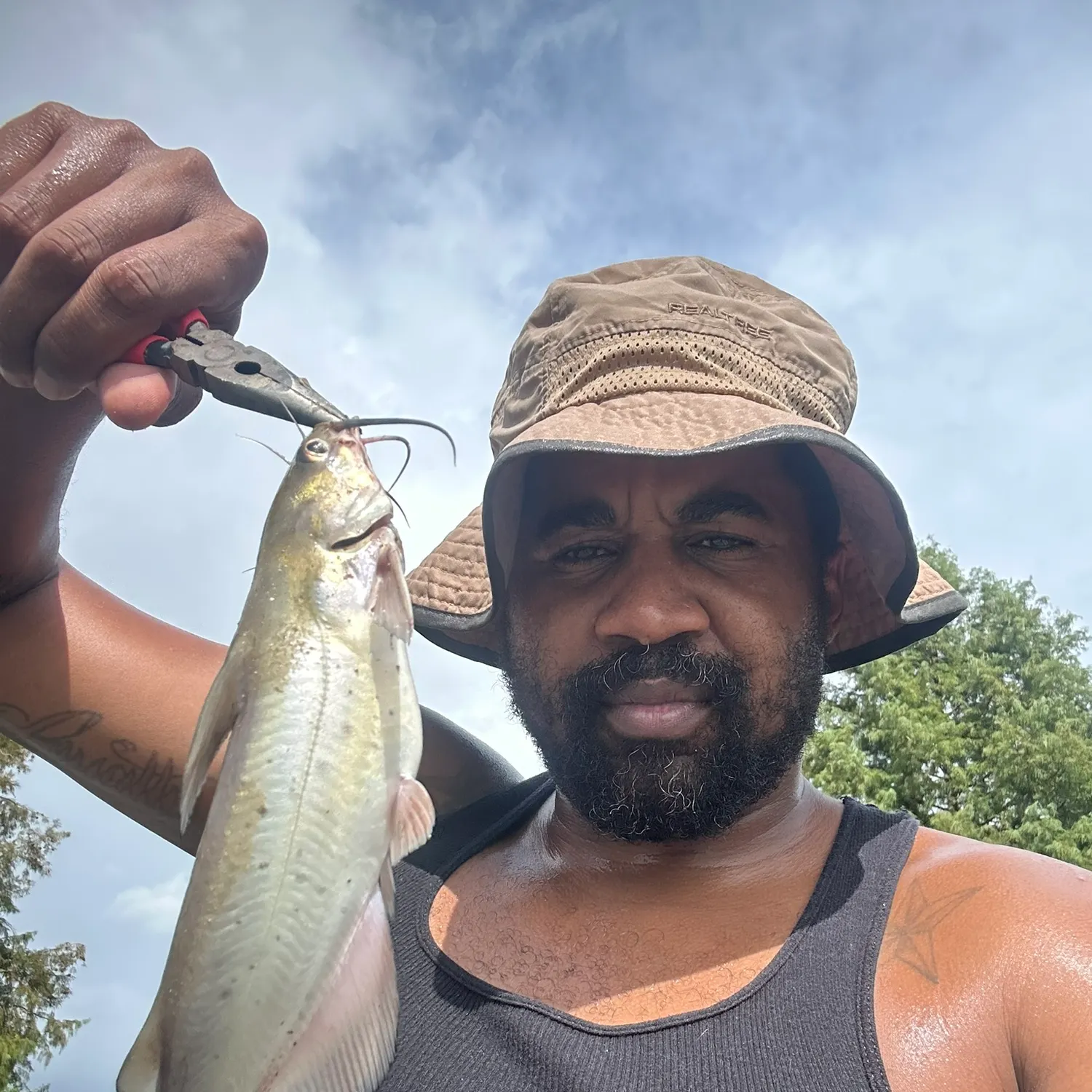 Channel catfish caught on Fishbrain