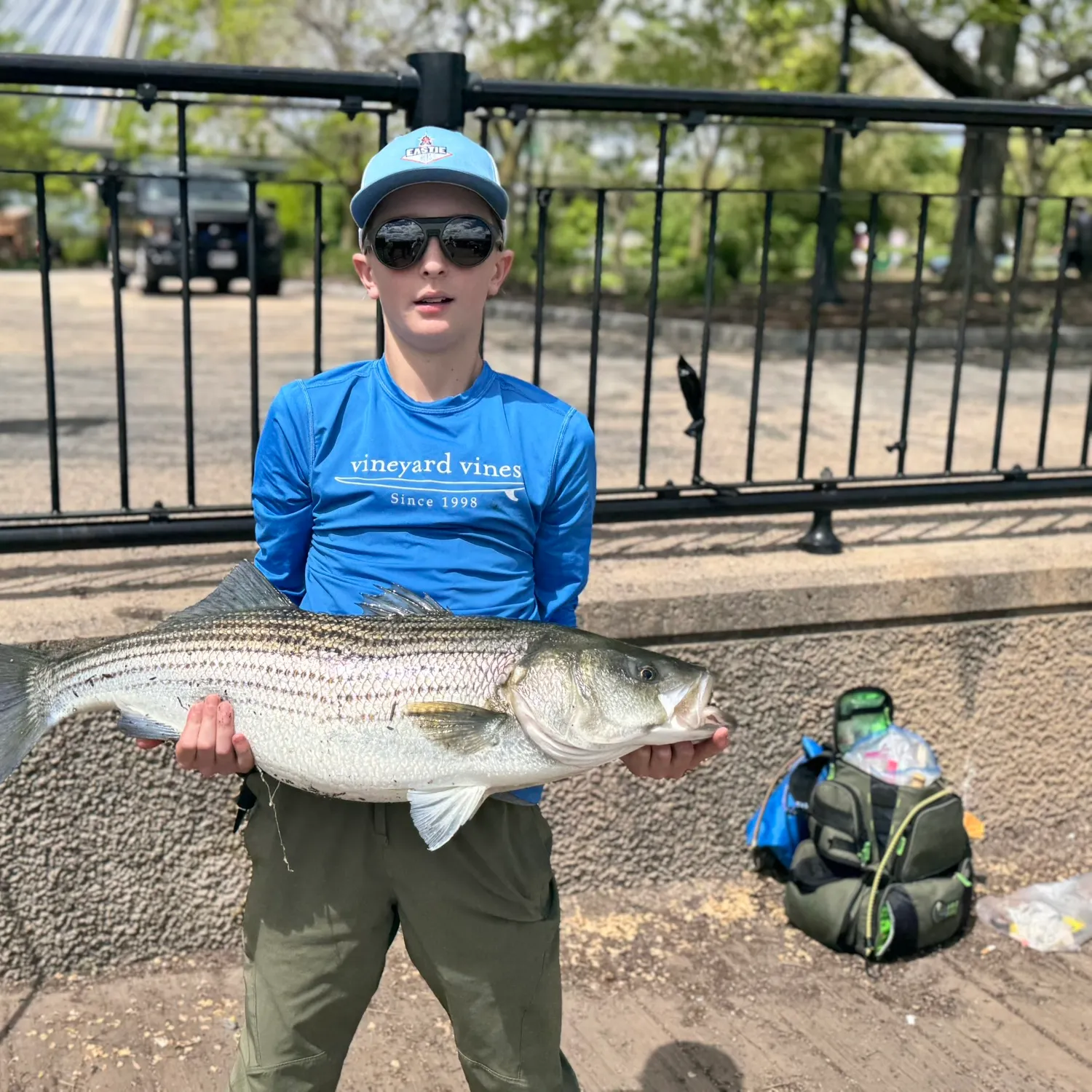 The most recent Striped bass catches on Fishbrain