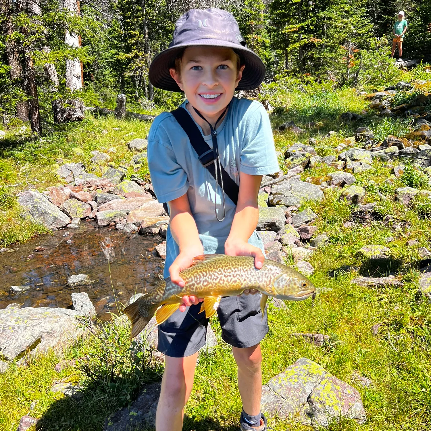 Tiger trout caught on Fishbrain