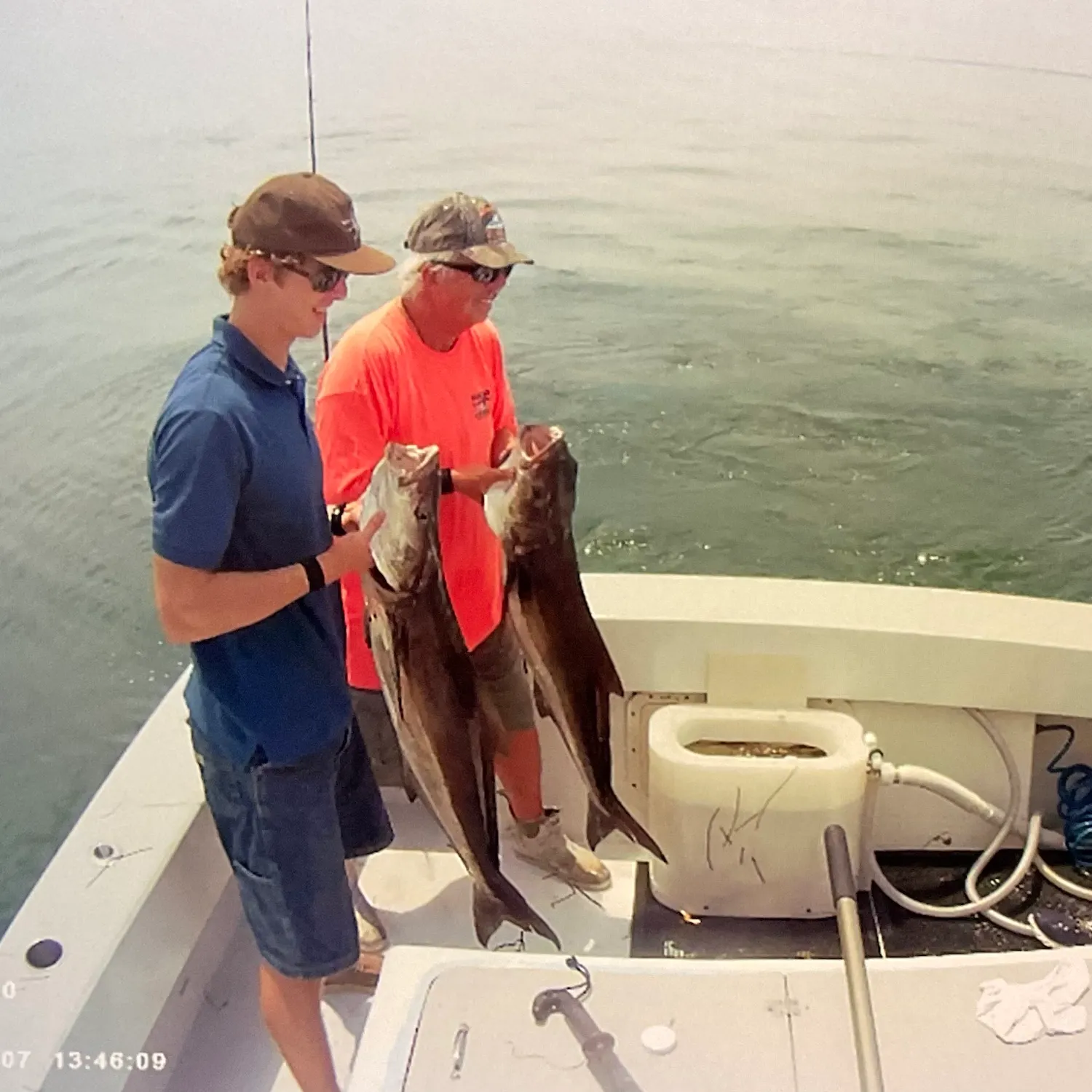 The most recent Cobia catches on Fishbrain