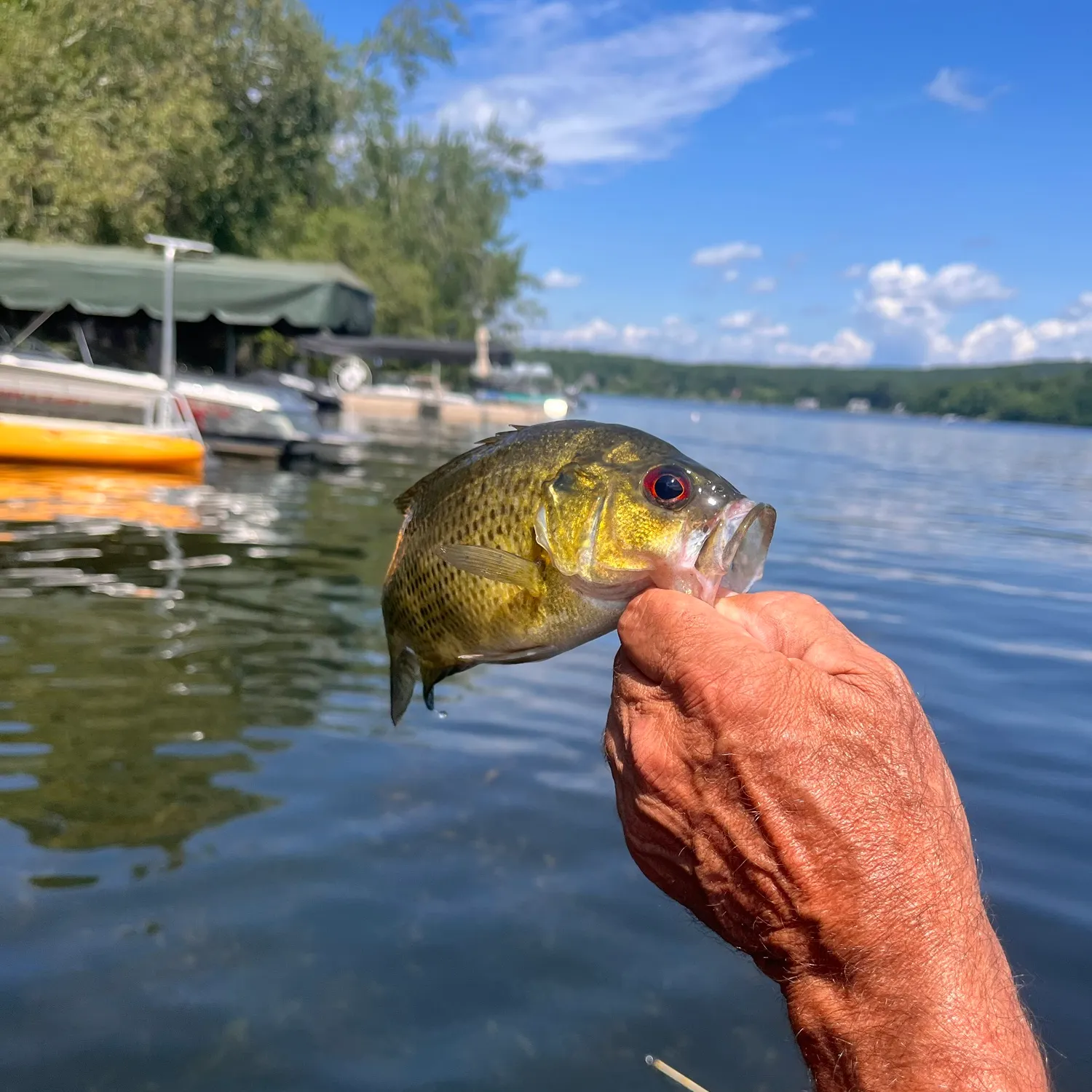 catch