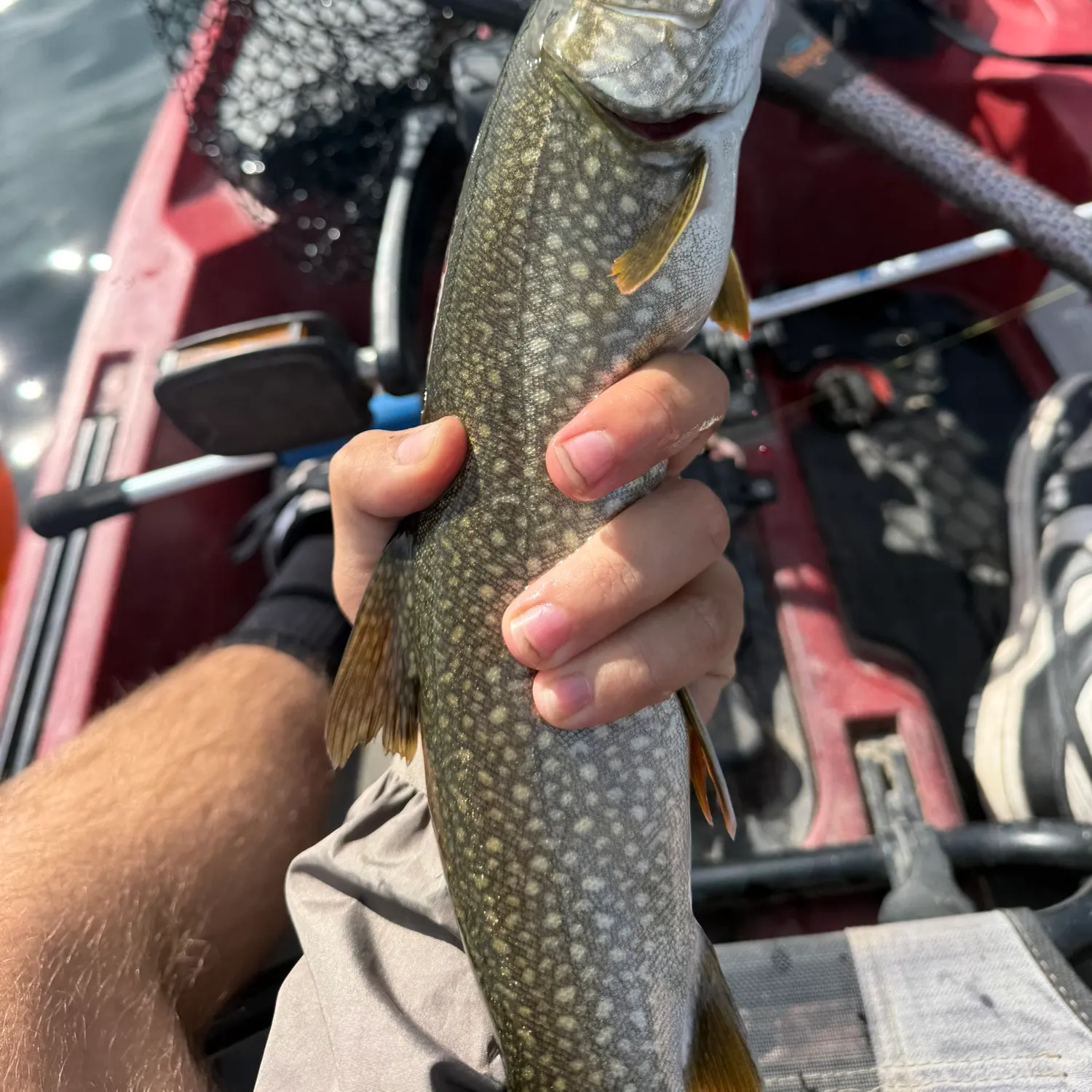Lake char caught on Fishbrain