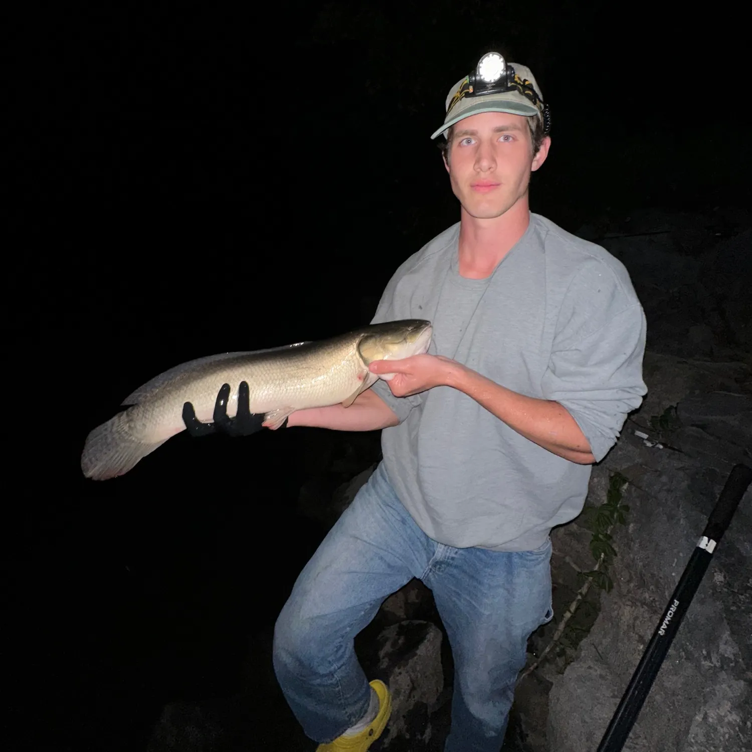 Eyetail bowfin caught on Fishbrain