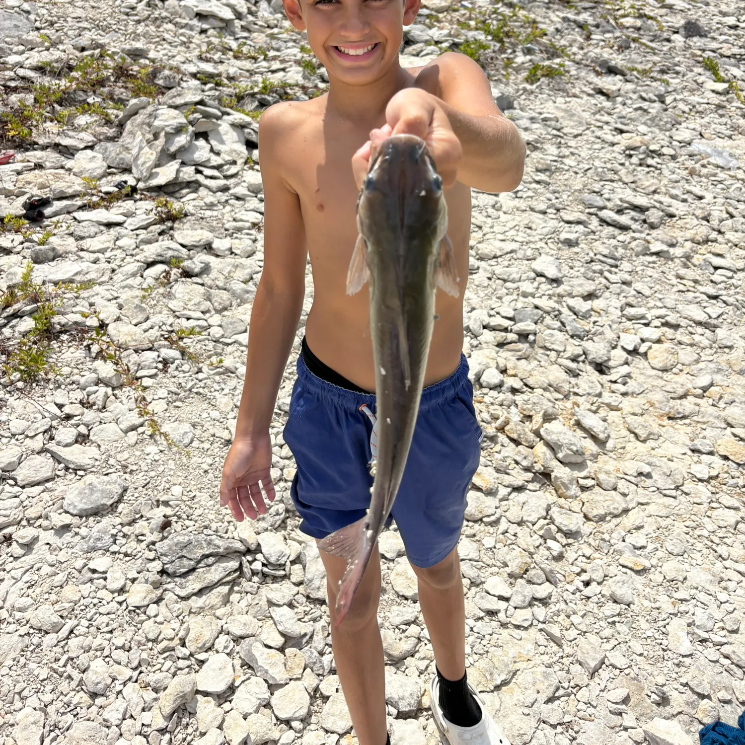 Fish caught on Fishbrain