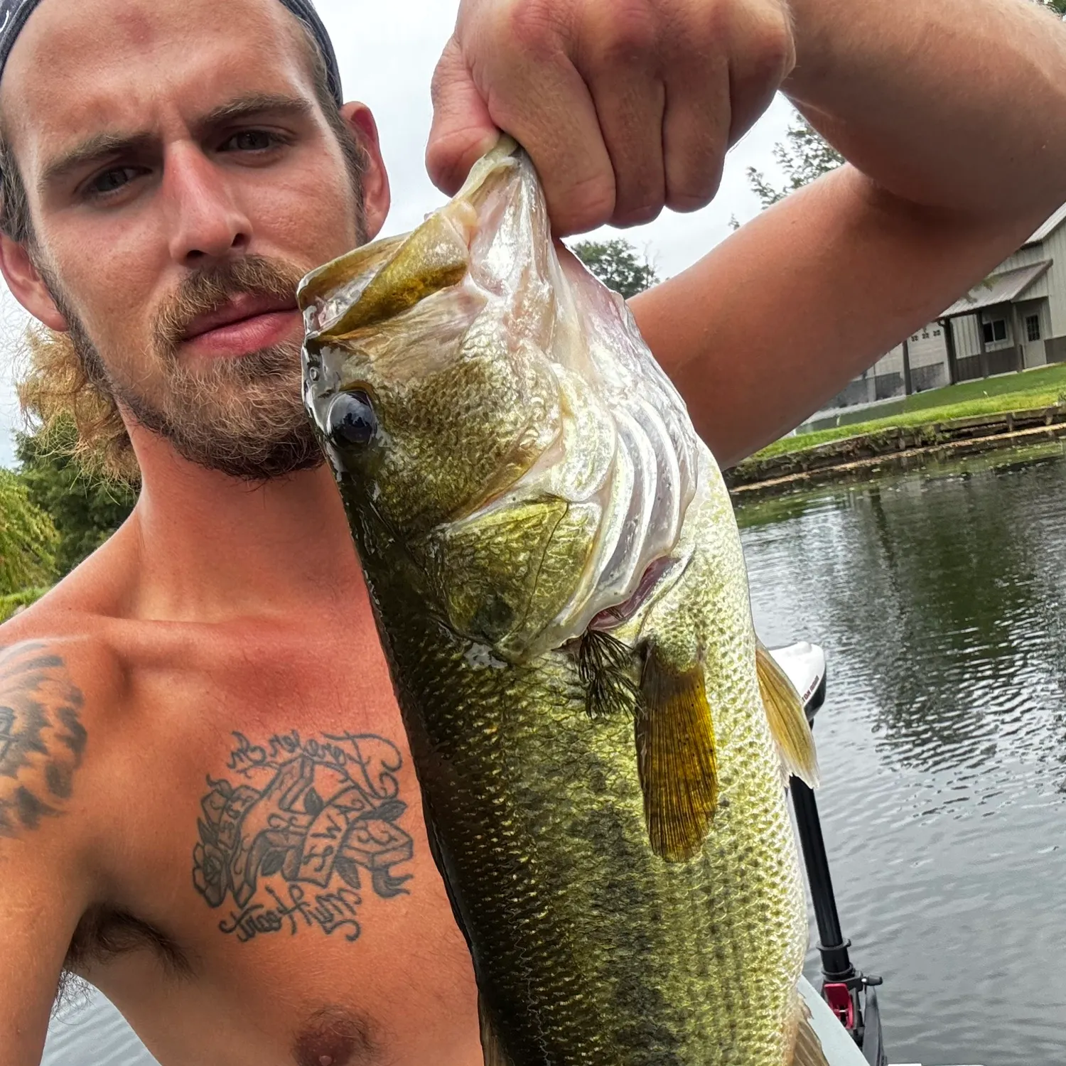 Largemouth bass caught on Fishbrain